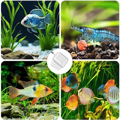 Paquete de 2 Redes de Acuario ViiWxx 7.6 cm Nylon Blanco