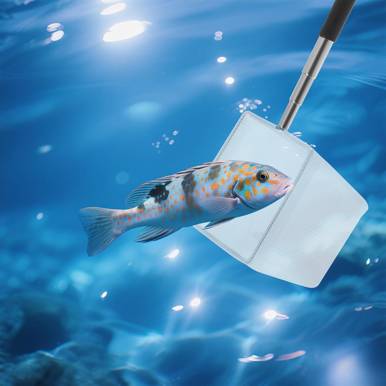 Red de Acuario Pequeña Cuadrada LIQWEI con Mango Extensible