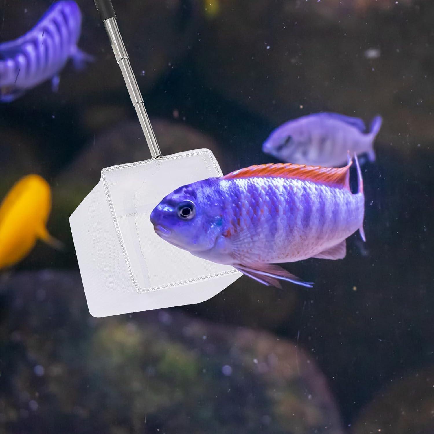 Red de Acuario Extensible Hariendny 7.62 cm Nylon Acero Inoxidable