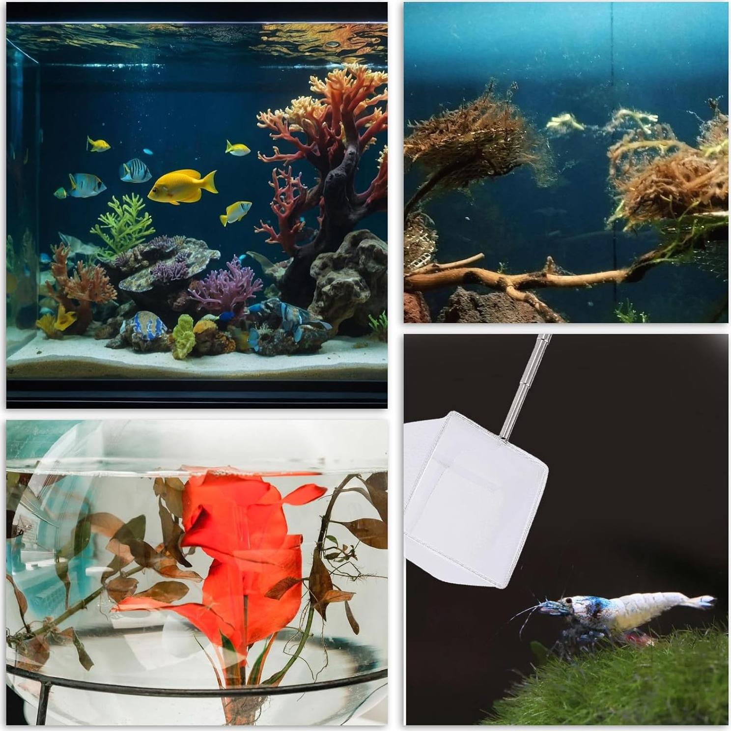 Red de Acuario Extensible Hariendny 7.62 cm Nylon Acero Inoxidable