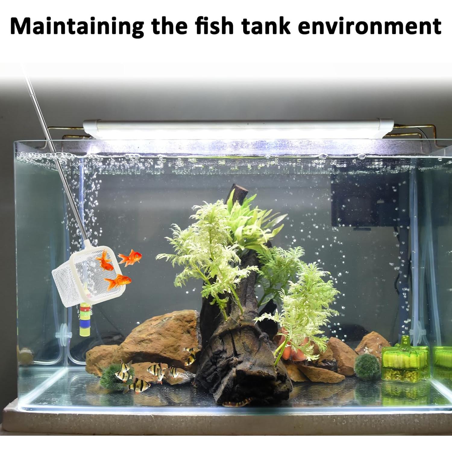 Red de Pesca para Acuario QfwdfcTrenz 2 Piezas 7.62cm Nylon