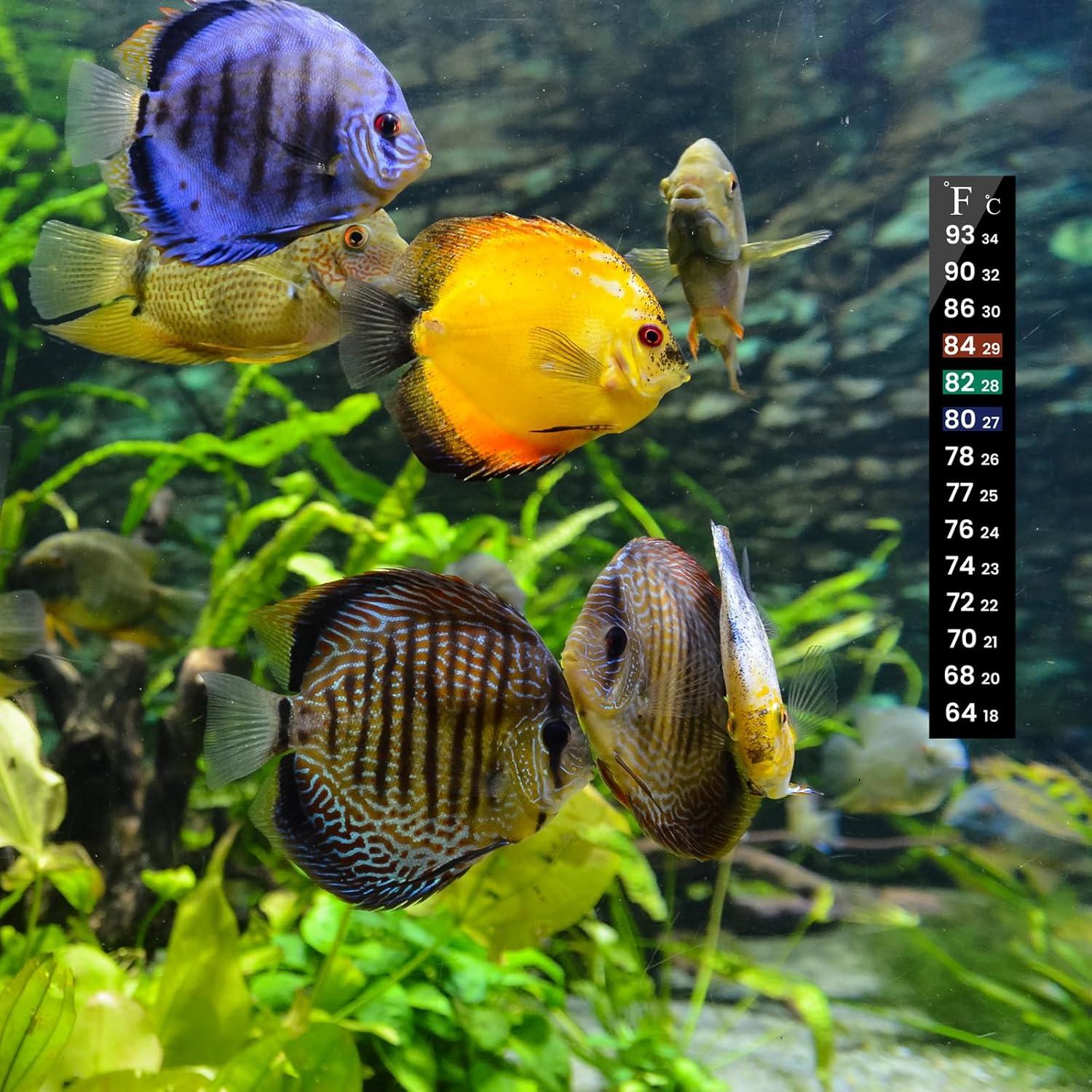 Tiras de Termómetro para Acuario AQUANEAT 6 PCS 13 cm