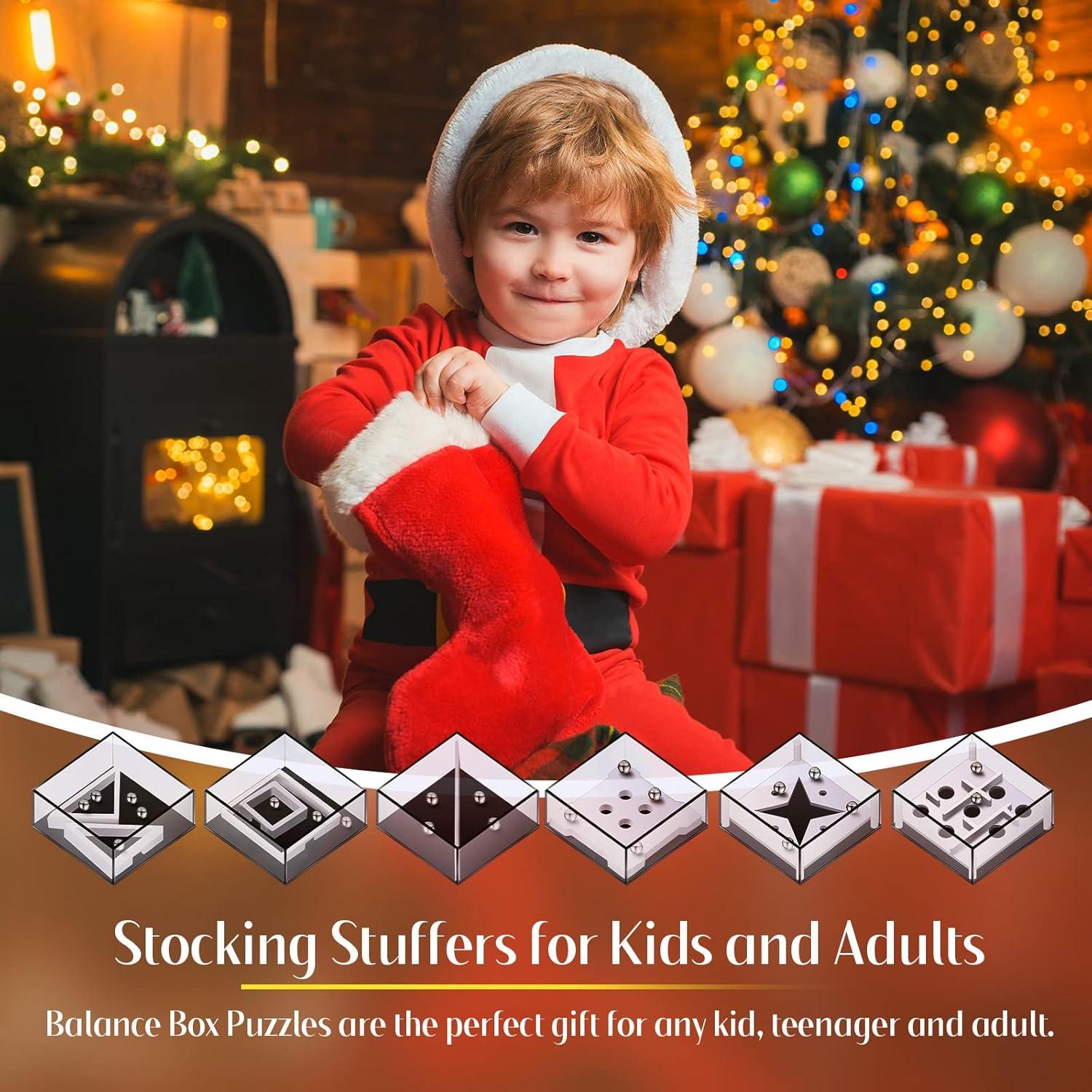 18 Piezas Juego de Laberinto Balance IQ Hanaive - Rompecabezas