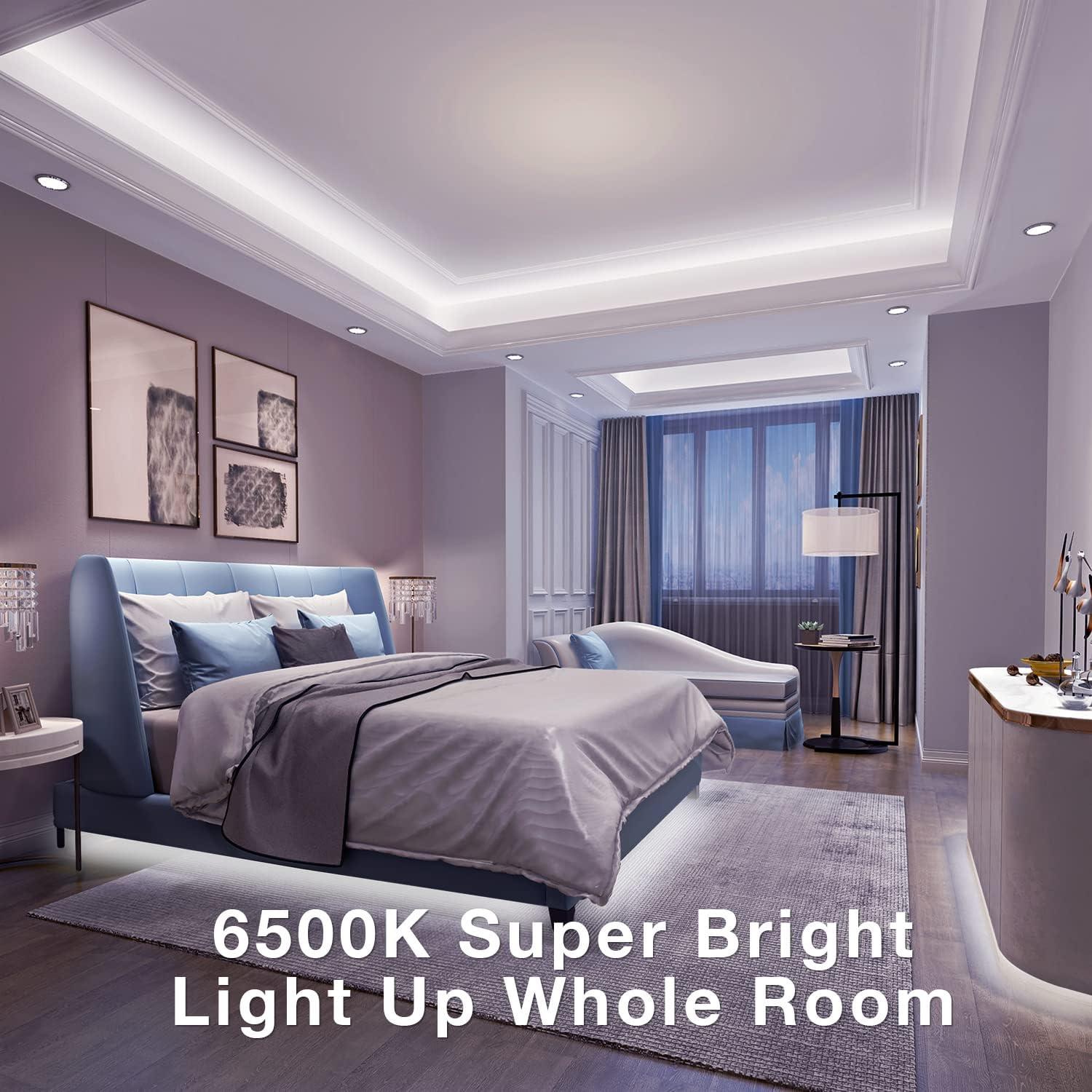 Tira de LED Regulable dalattin 6.1m 24V 6500K Blanca