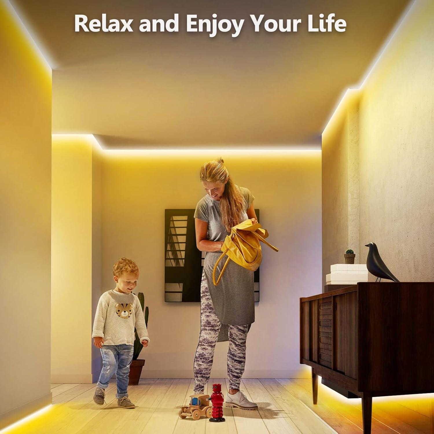 Tira de Luz LED COB Emitever 10M 3000K Regulable 24V