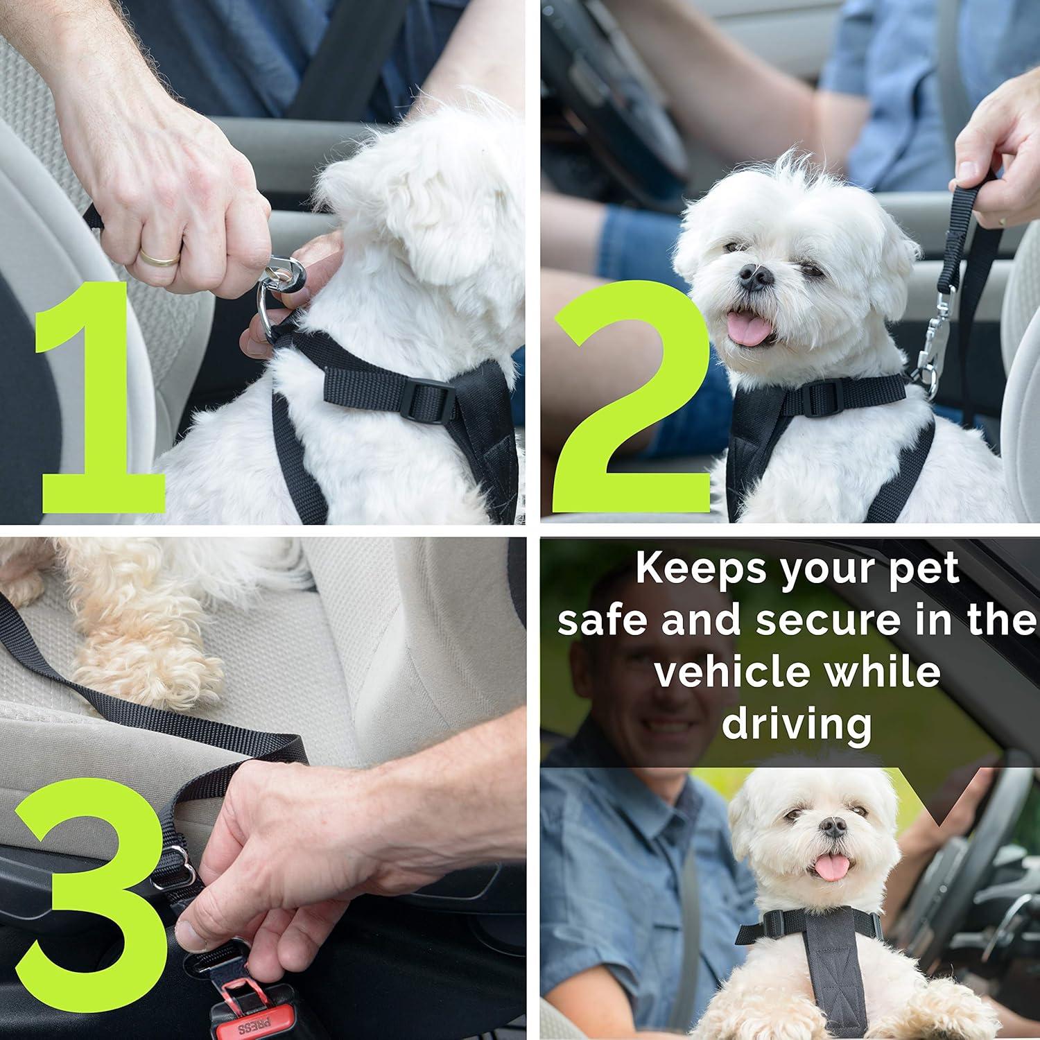 Cinturón de Seguridad para Mascotas Duke & Dixie - Ajustable