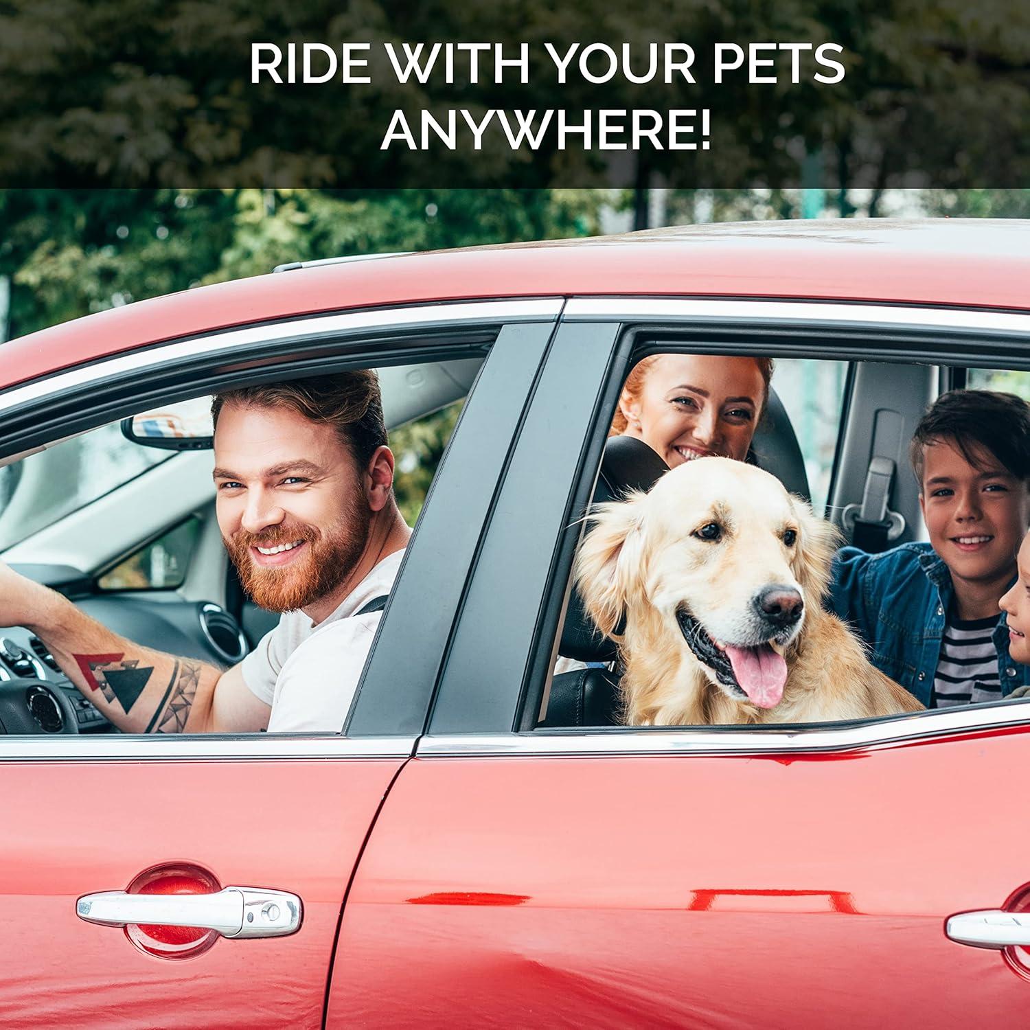 Cinturón de Seguridad para Mascotas Duke & Dixie - Ajustable