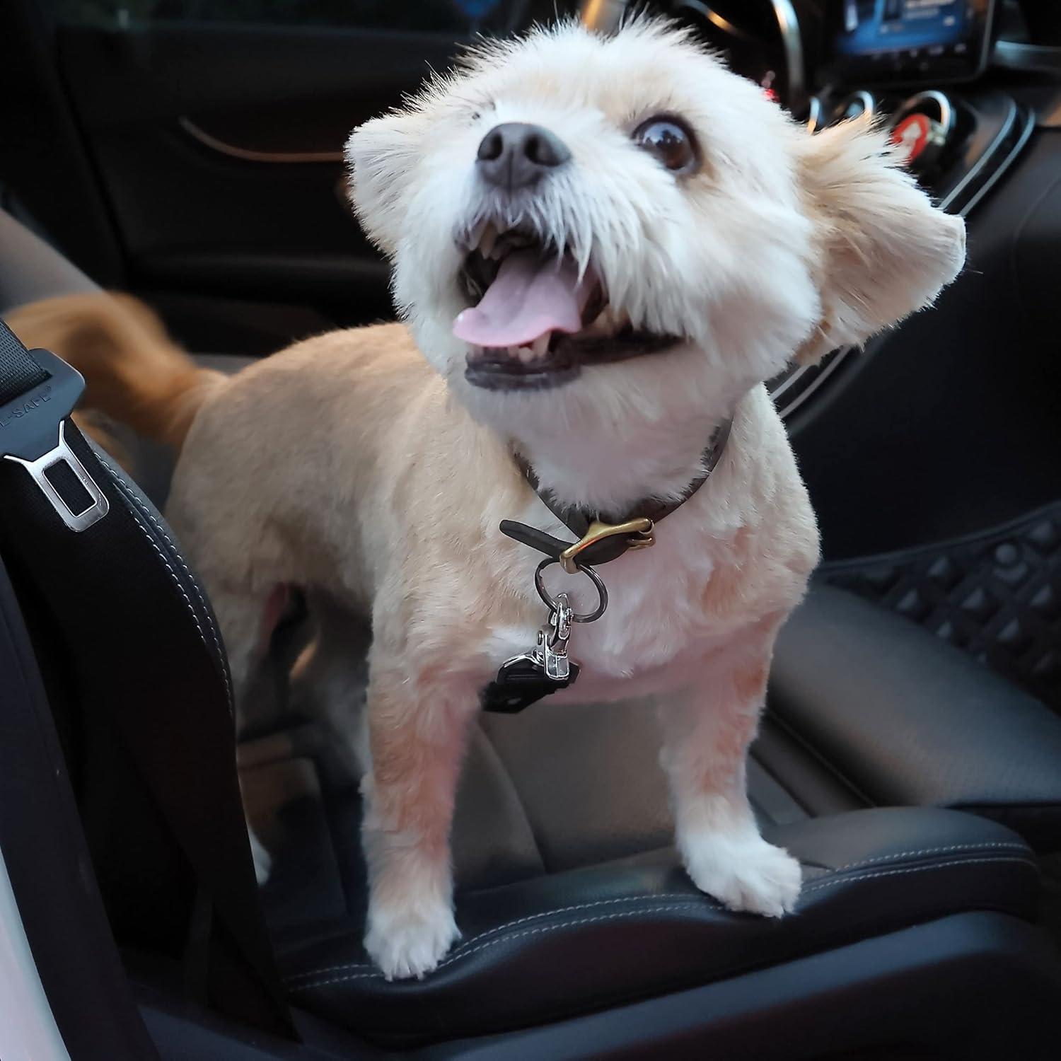 Cinturón de Seguridad Ajustable para Perros Mr. Pen 50-82 cm