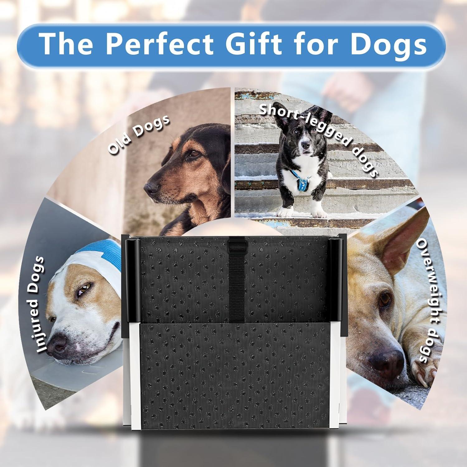 Rampa Plegable para Perros DeerGym - 5 Pasos Antideslizante