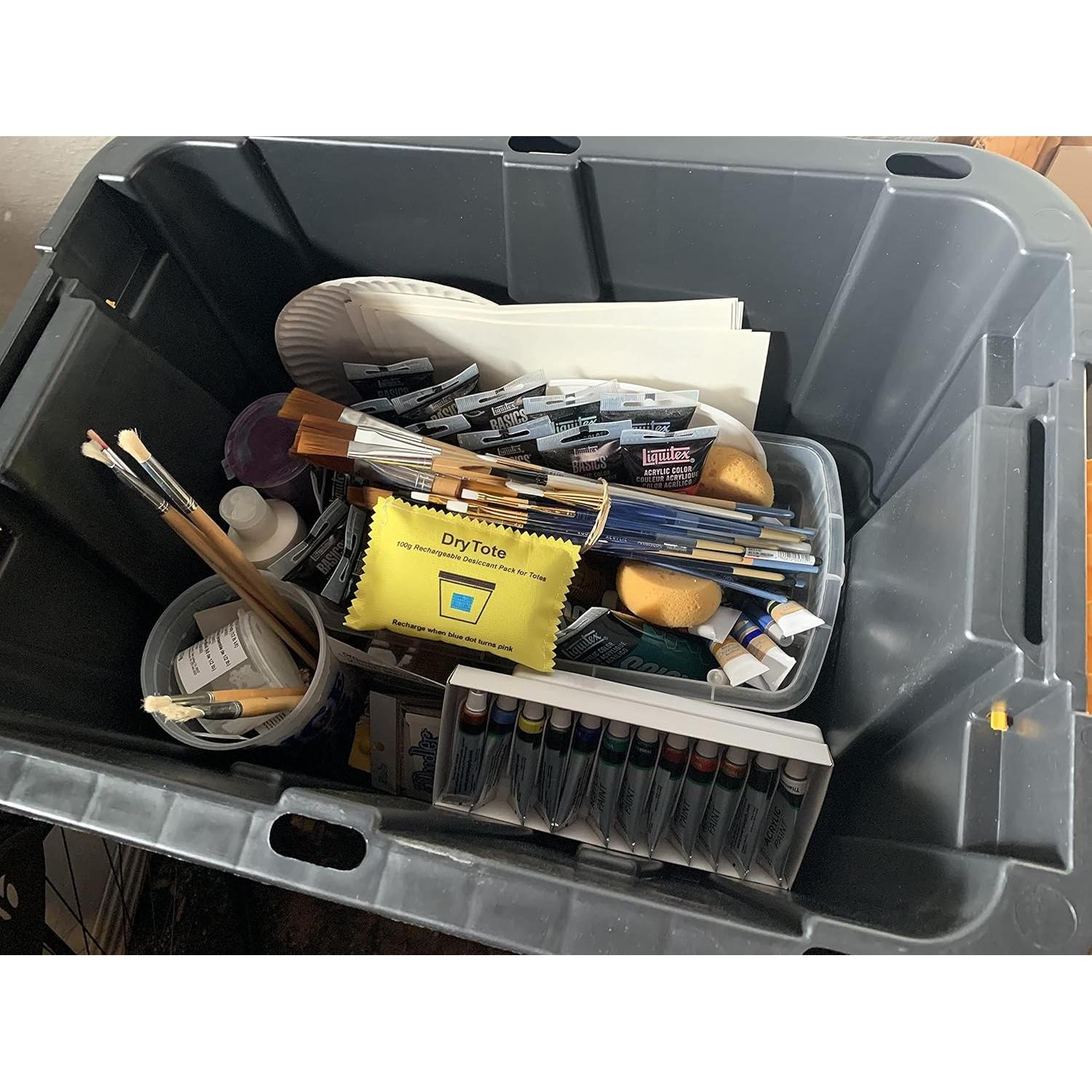 Paquete de 5 desecantes recargables DryTote 100g - Absorbente de humedad