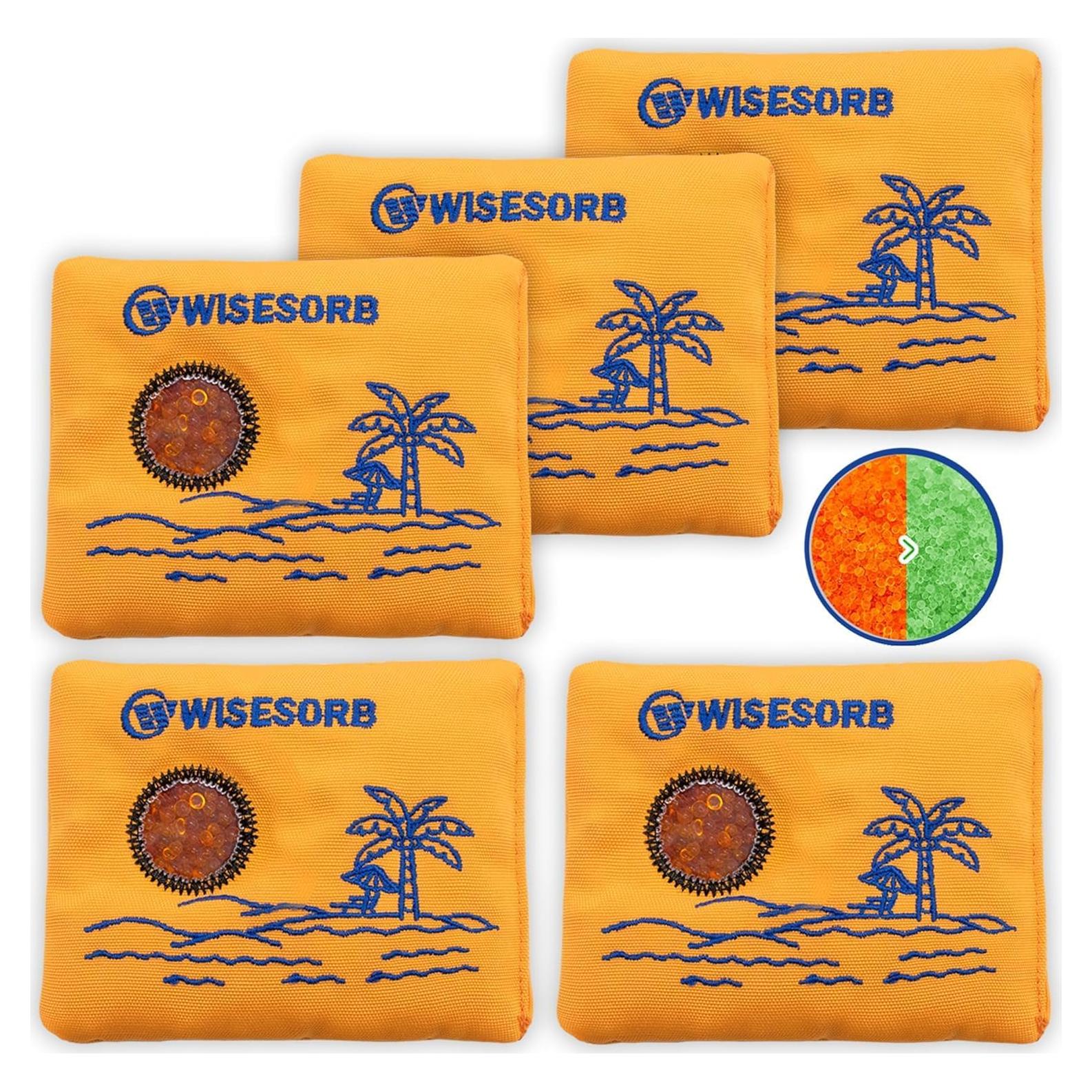 100gx5pcs Rechargeable Desiccant Packs for Storage, Reusable Dehumidifier Bags Visible Color Indicating Silica Gel Packets Moisture Absorbers for Safe Closet 3D Filaments Electronics Camera