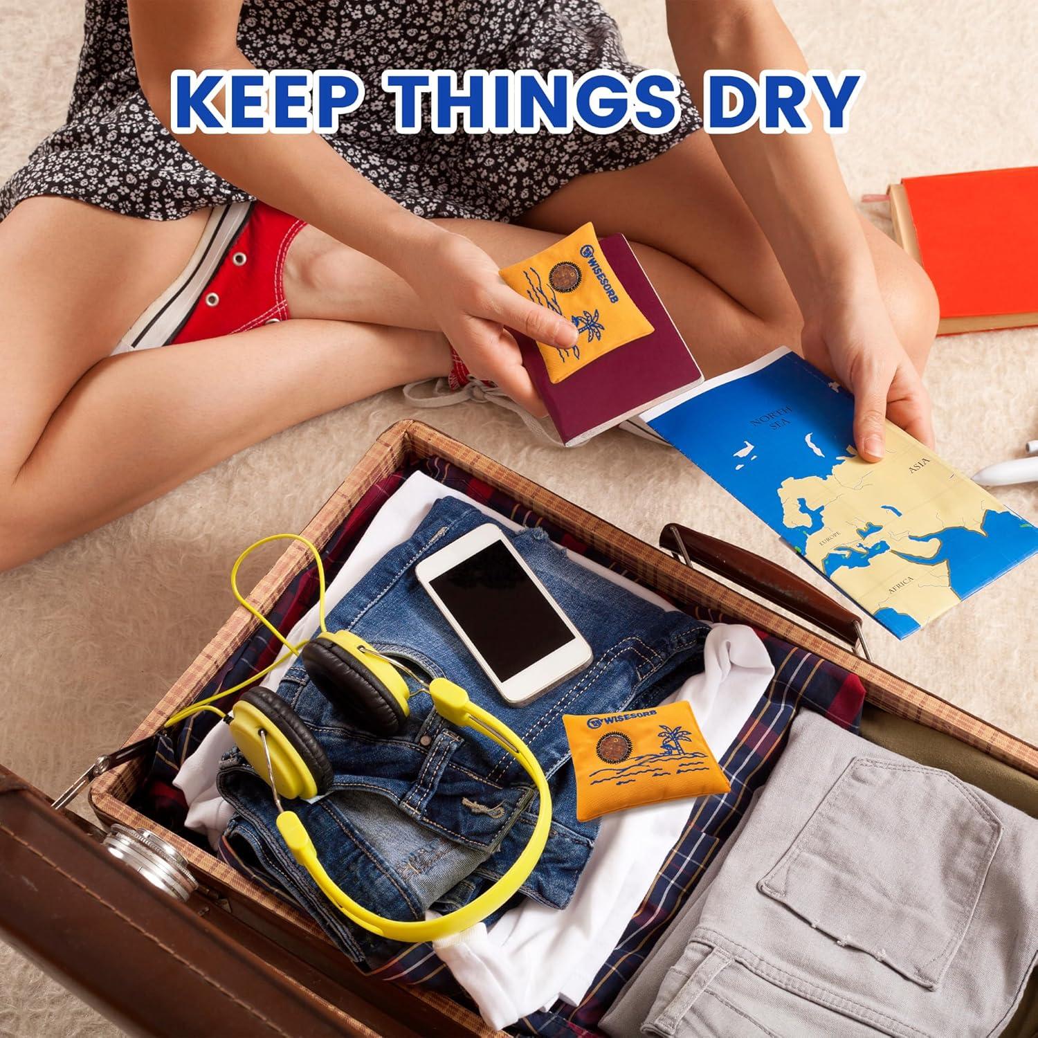 100gx5pcs Rechargeable Desiccant Packs for Storage, Reusable Dehumidifier Bags Visible Color Indicating Silica Gel Packets Moisture Absorbers for Safe Closet 3D Filaments Electronics Camera