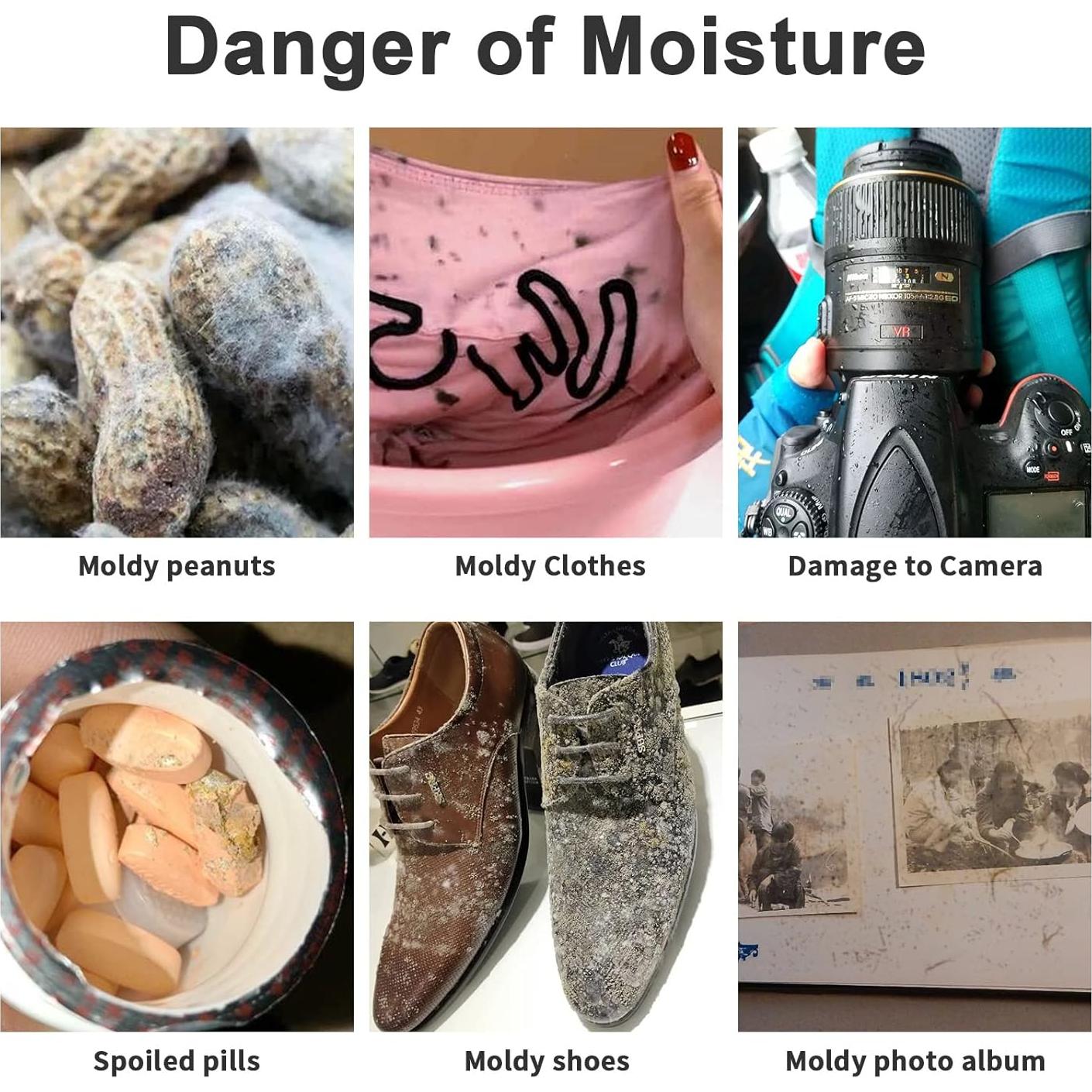 Paquetes de Gel de Sílice 20g - 80 Pcs Desecante Seguro para Alimentos