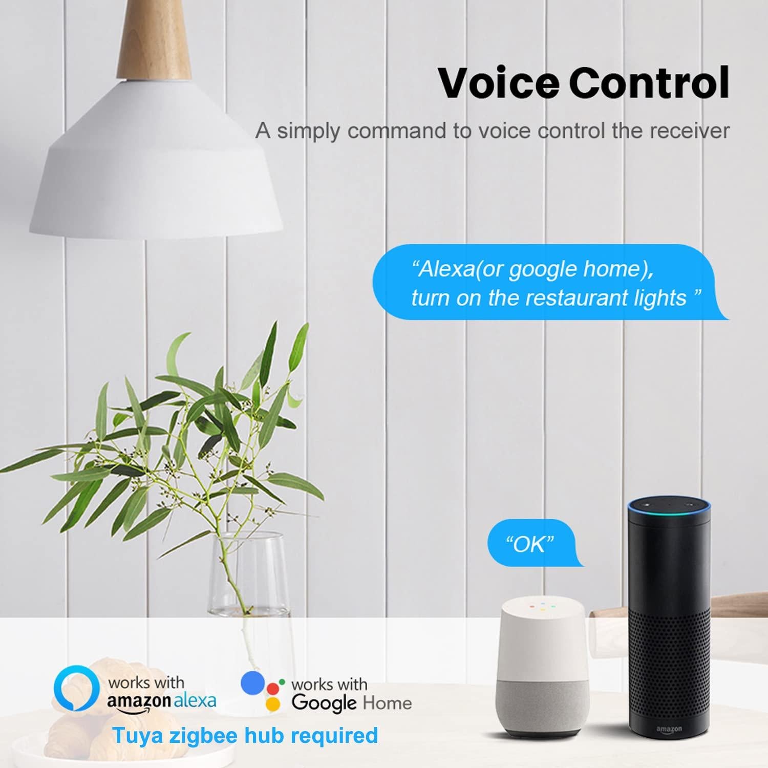 Módulo Relé Inteligente Zigbee 16A ShenZhen 2 Vías Control Remoto