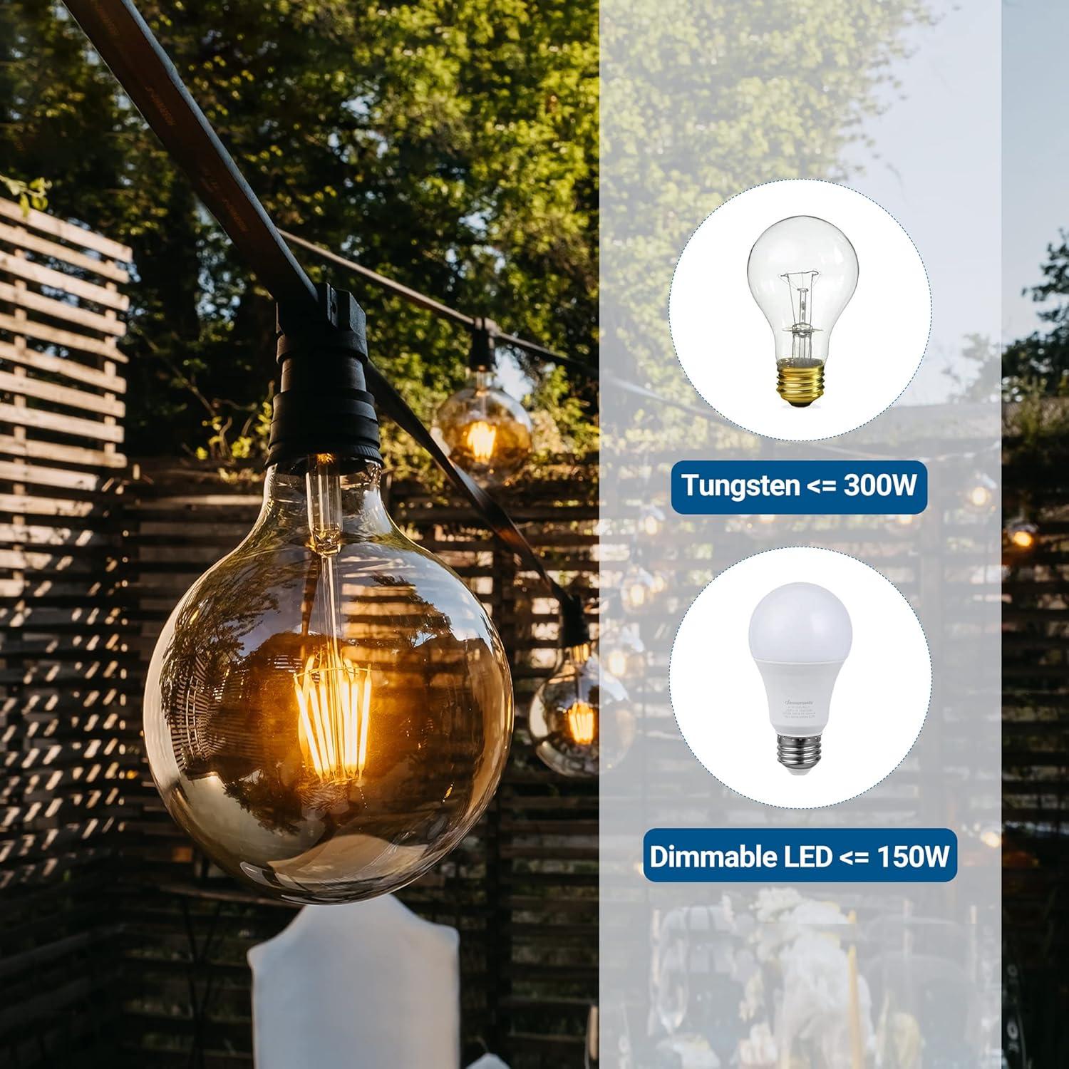 Regulador de Luces de Cuerda DEWENWILS con Control Remoto 30.48m