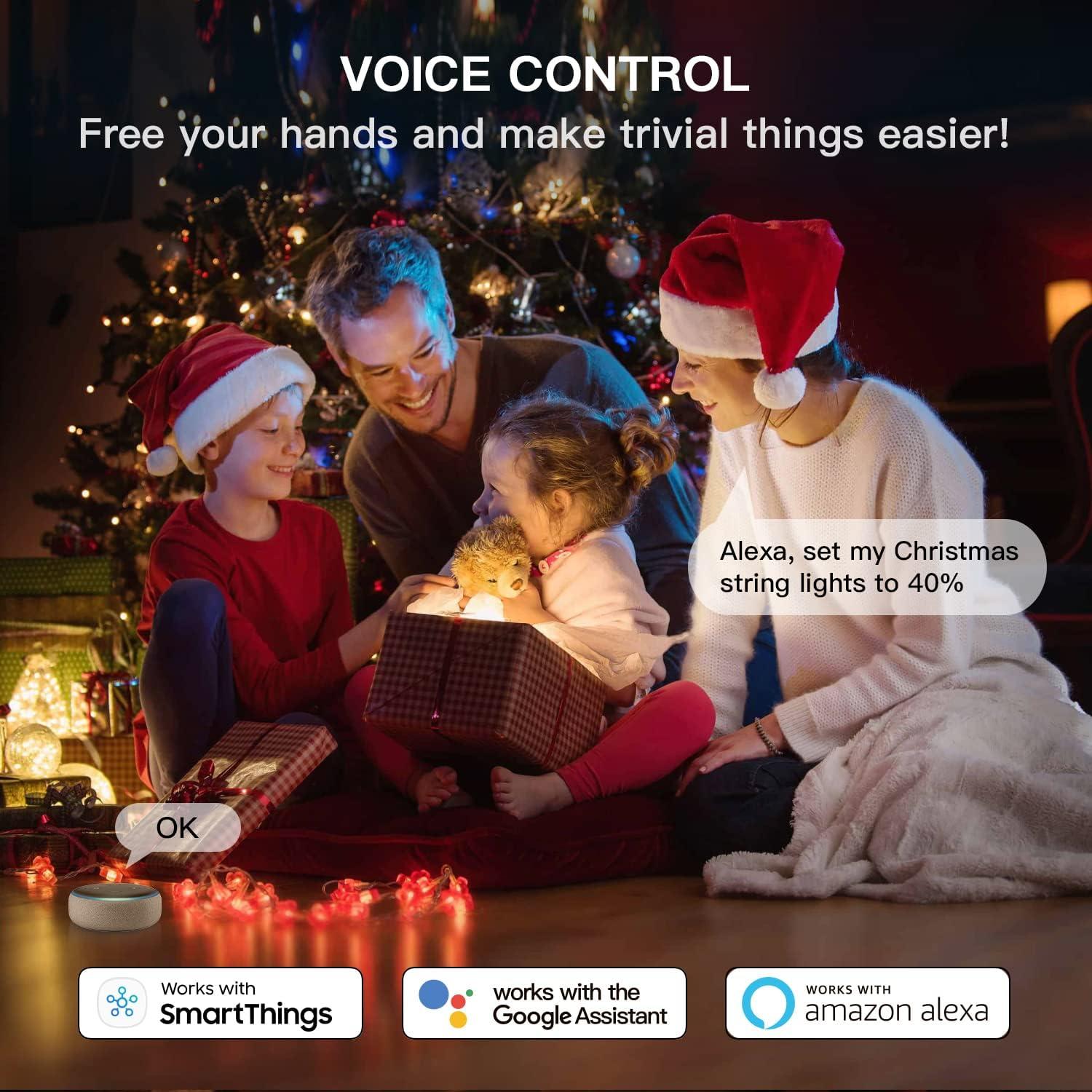 Enchufe Regulador Inteligente TREATLIFE IP44 400W Control Remoto