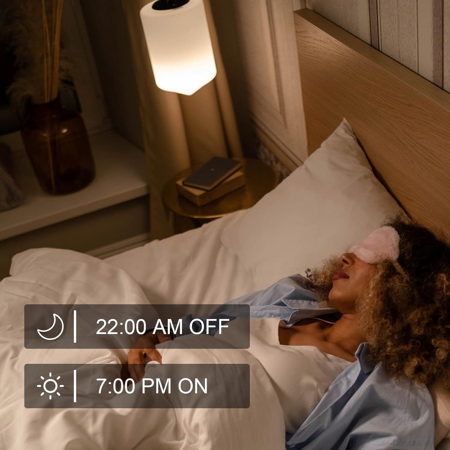 Enchufe Inteligente Regulador WiFi Eva's Light 300W Control Voz