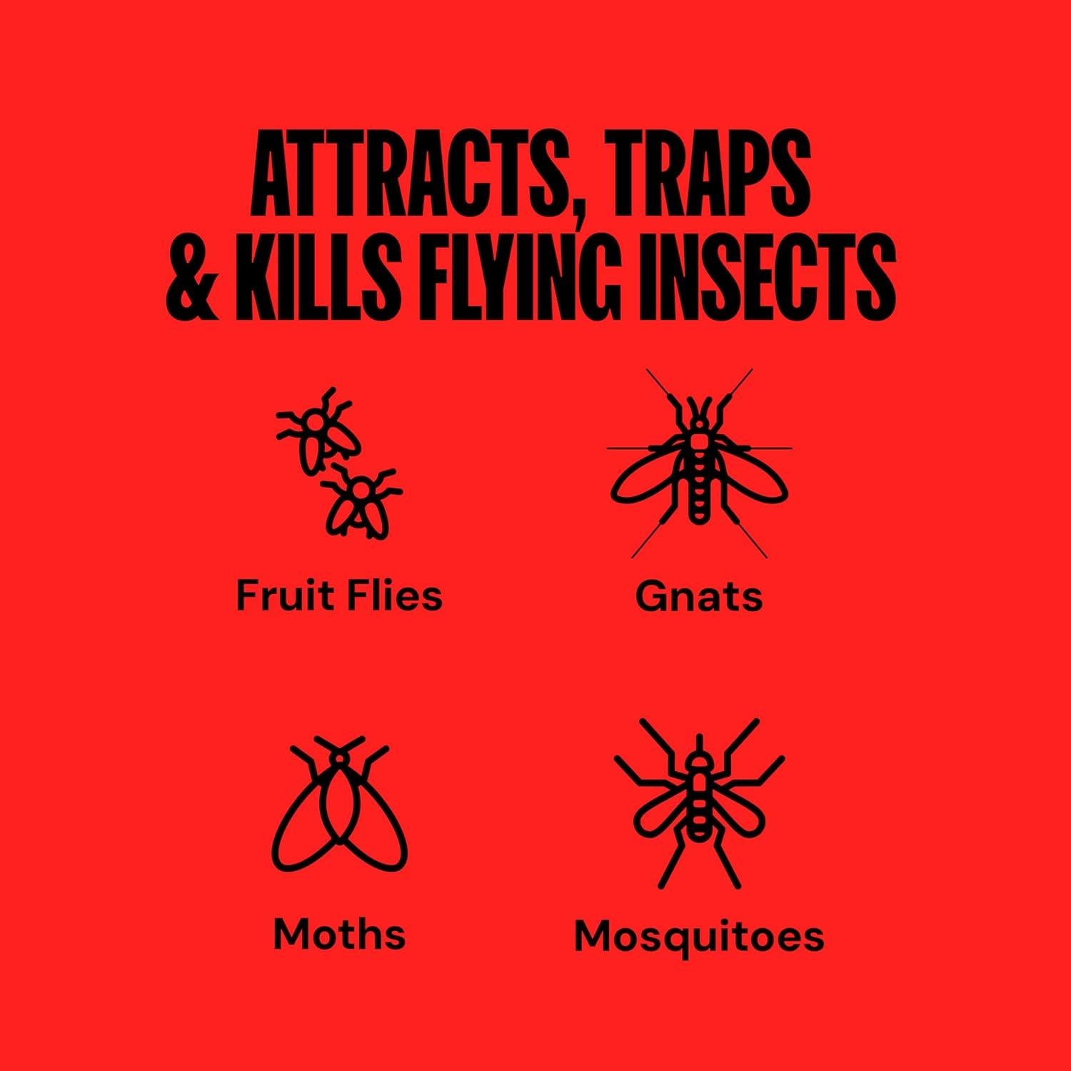 Trampa de Insectos DynaTrap DT152 para Interiores - Atrae y Mata Mosquitos y Moscas