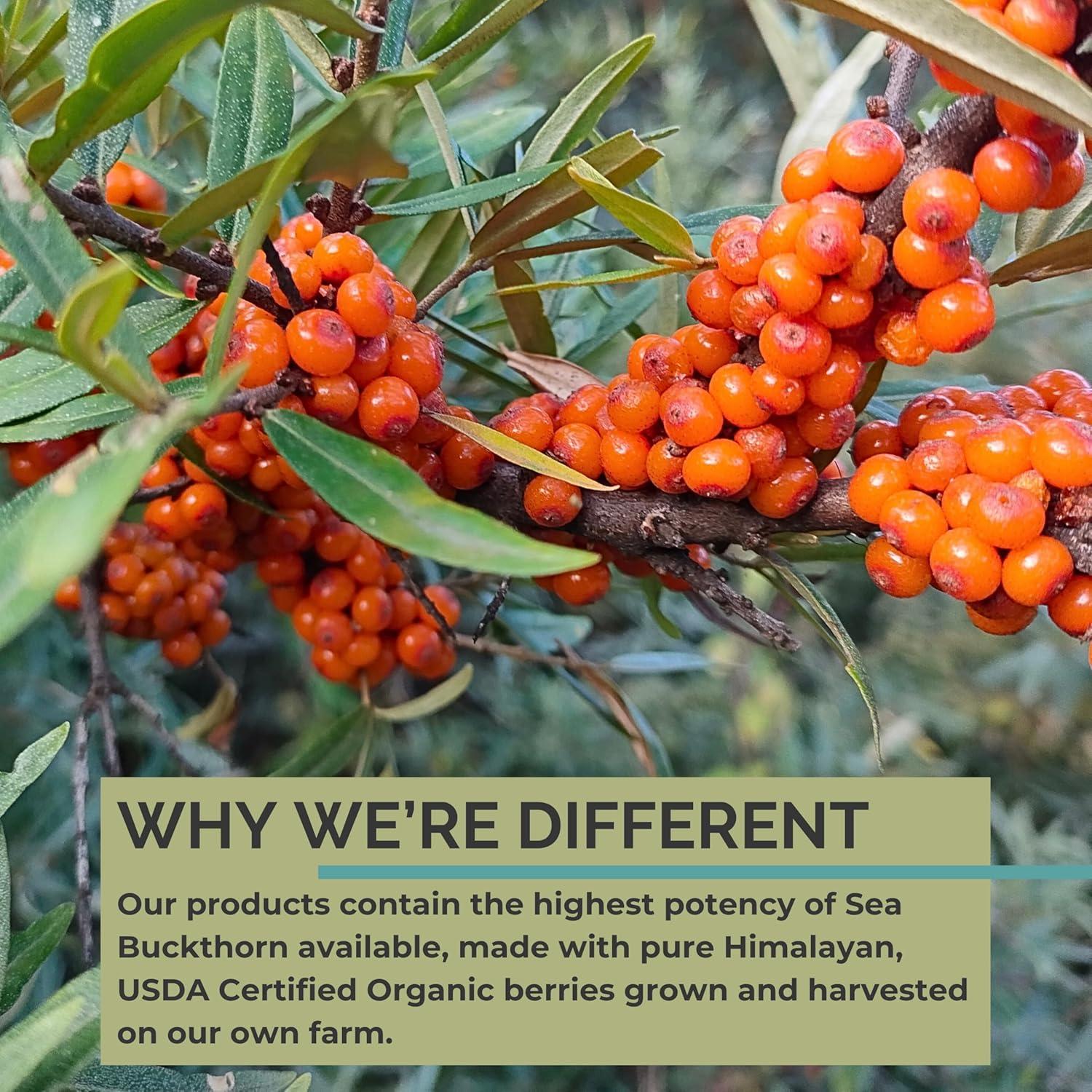 Aceite de Semilla de Espino Marino Seabuck Wonders 13.3 ML Orgánico