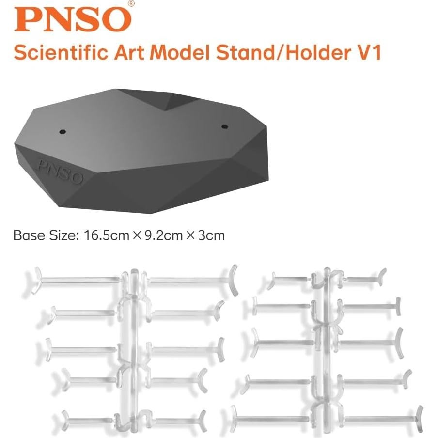 Soporte Porta Modelos Científicos PNSO V1 - 32g