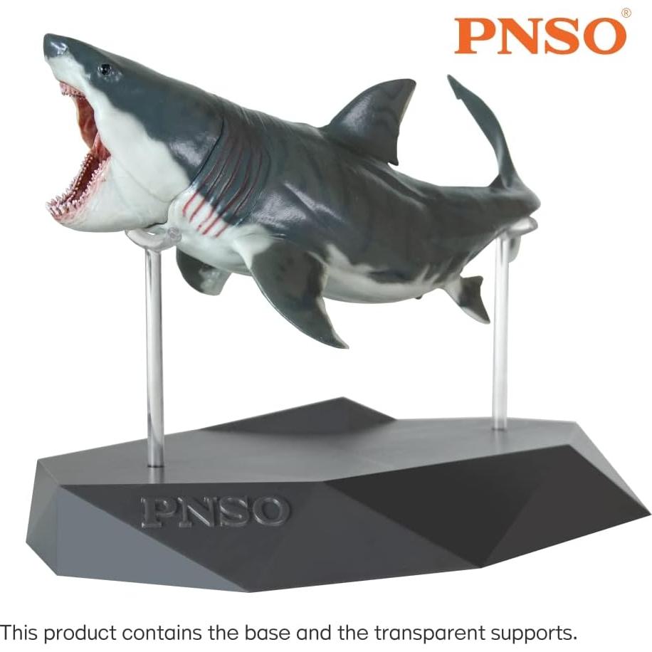 Soporte Porta Modelos Científicos PNSO V1 - 32g