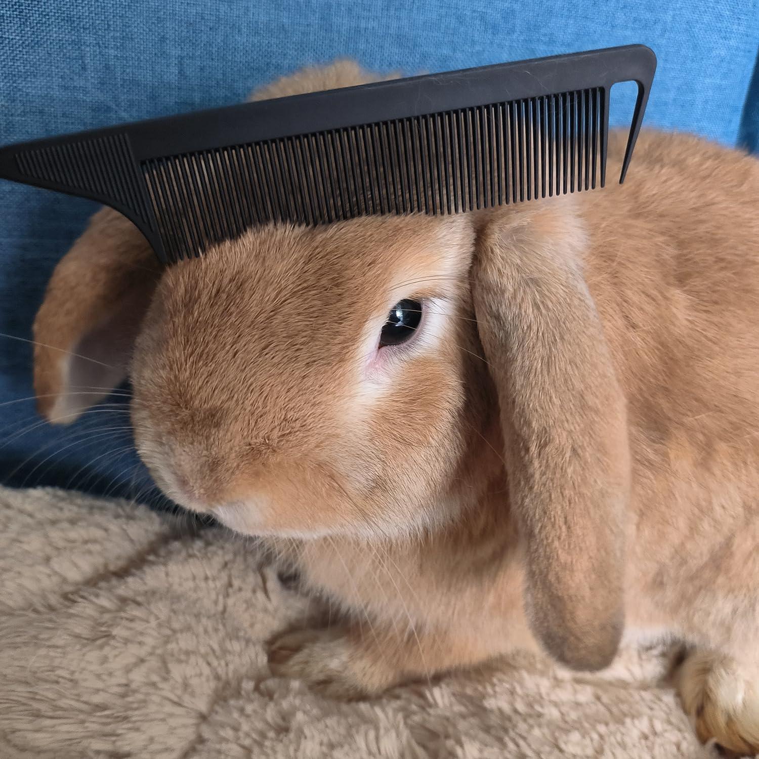 Carbon Fiber Hair Comb Set, 3 PCS, Hair Styling Tools with Teasing Brush for Women Girls Kids Braiding Backcombing Styling (Black)