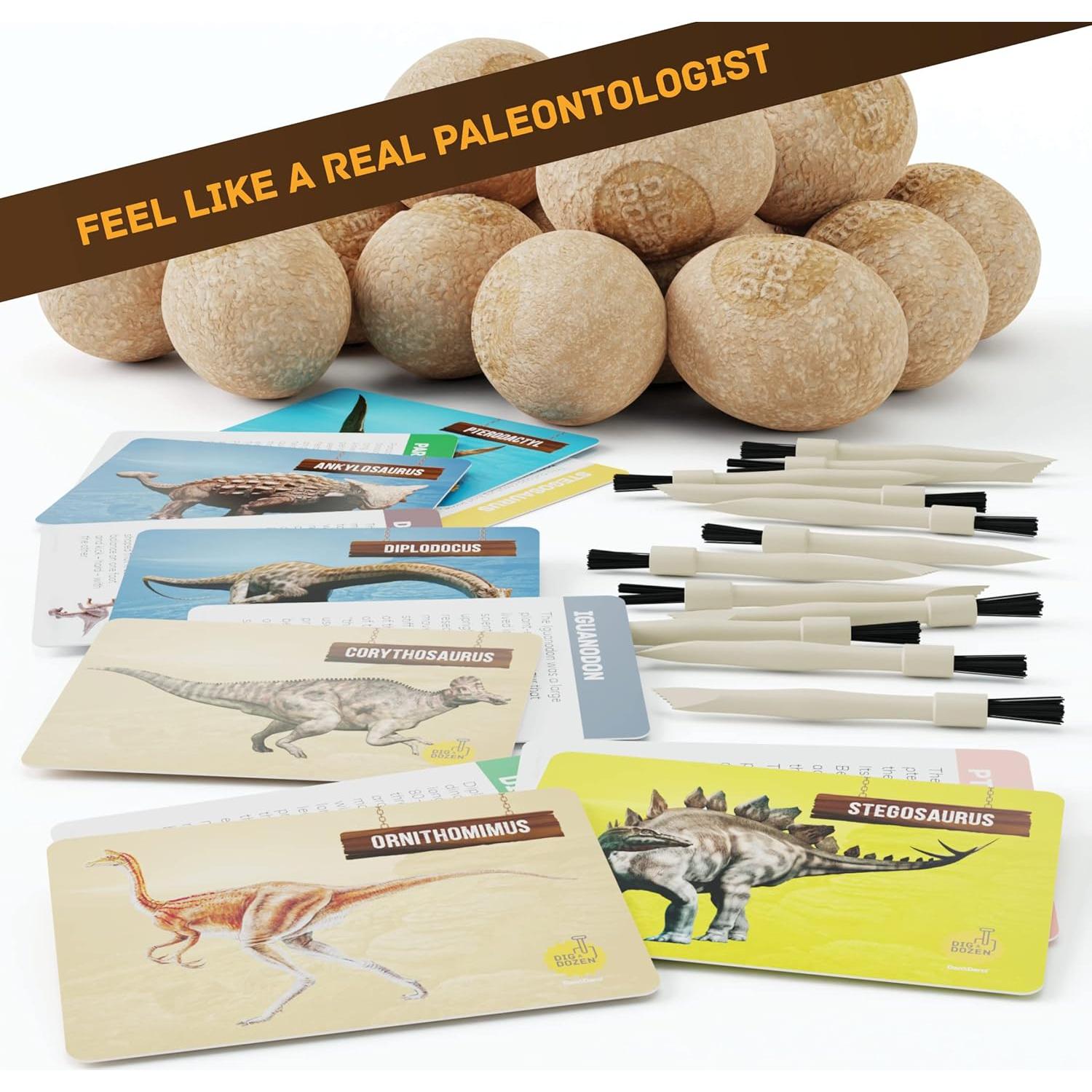 Excavadora de Dinosaurios Dan&Darci - 12 Huevos para Niños 3-12 Años