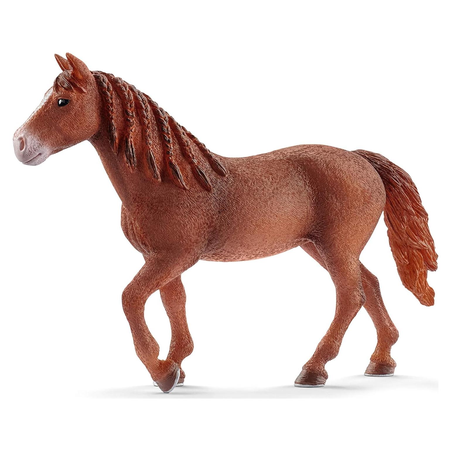 Figura Yegua Morgan Schleich 15x3x10 cm para Niños 3-8 Años