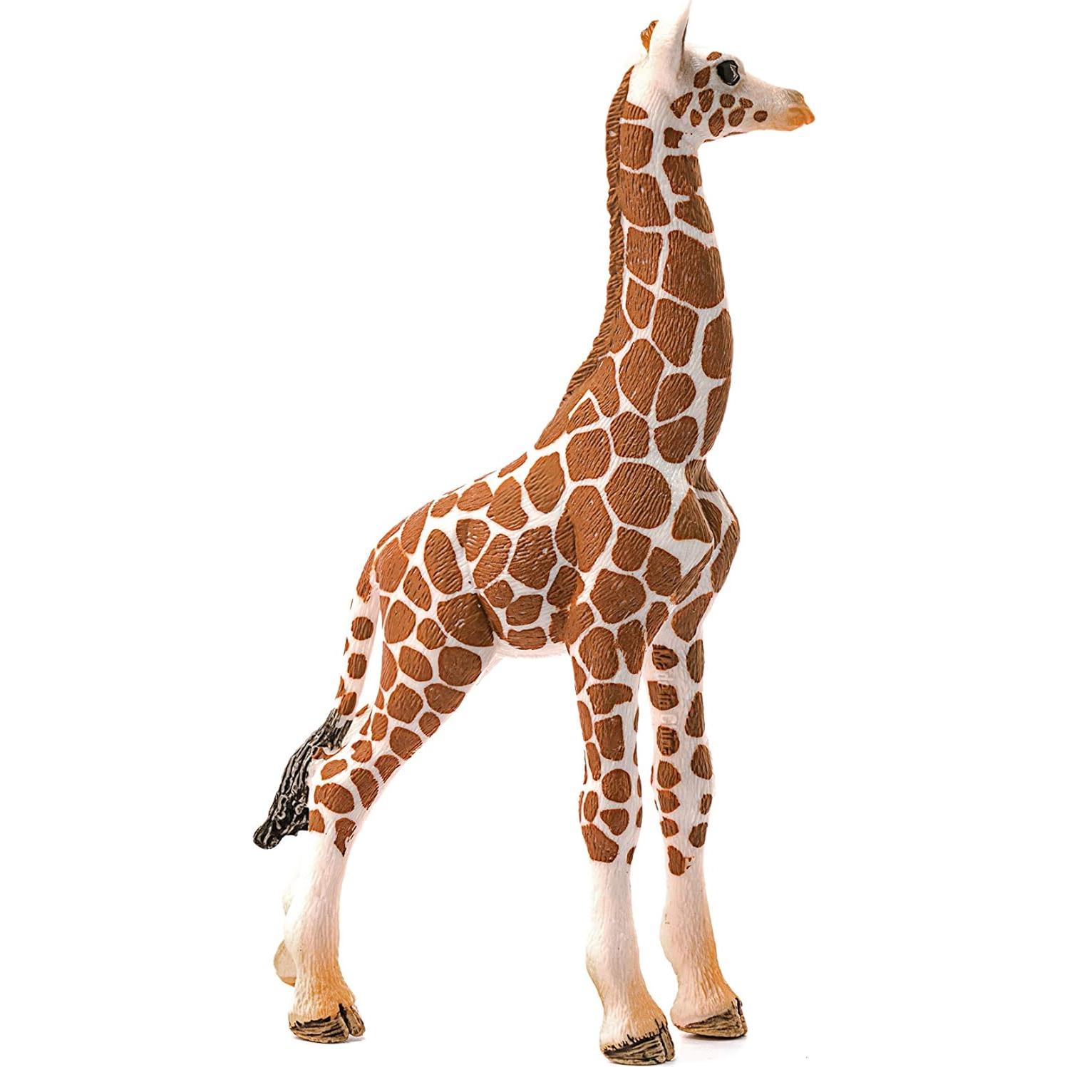 Figura Jirafa Cría Schleich Wild Life 6.86x6.86x11.68cm