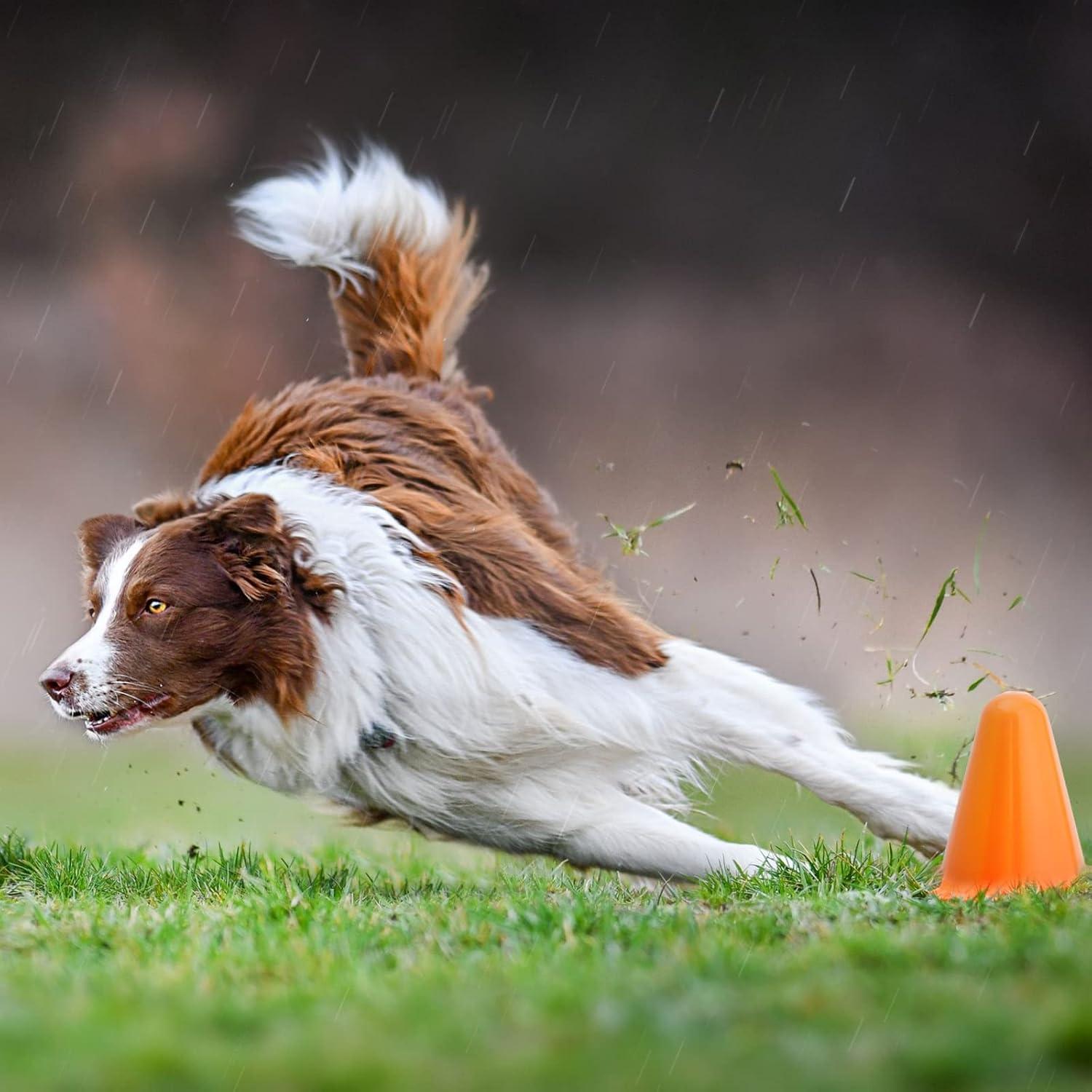 Conos de Seguridad Mini Maplefield - 7.87 cm Naranja, Paquete 50