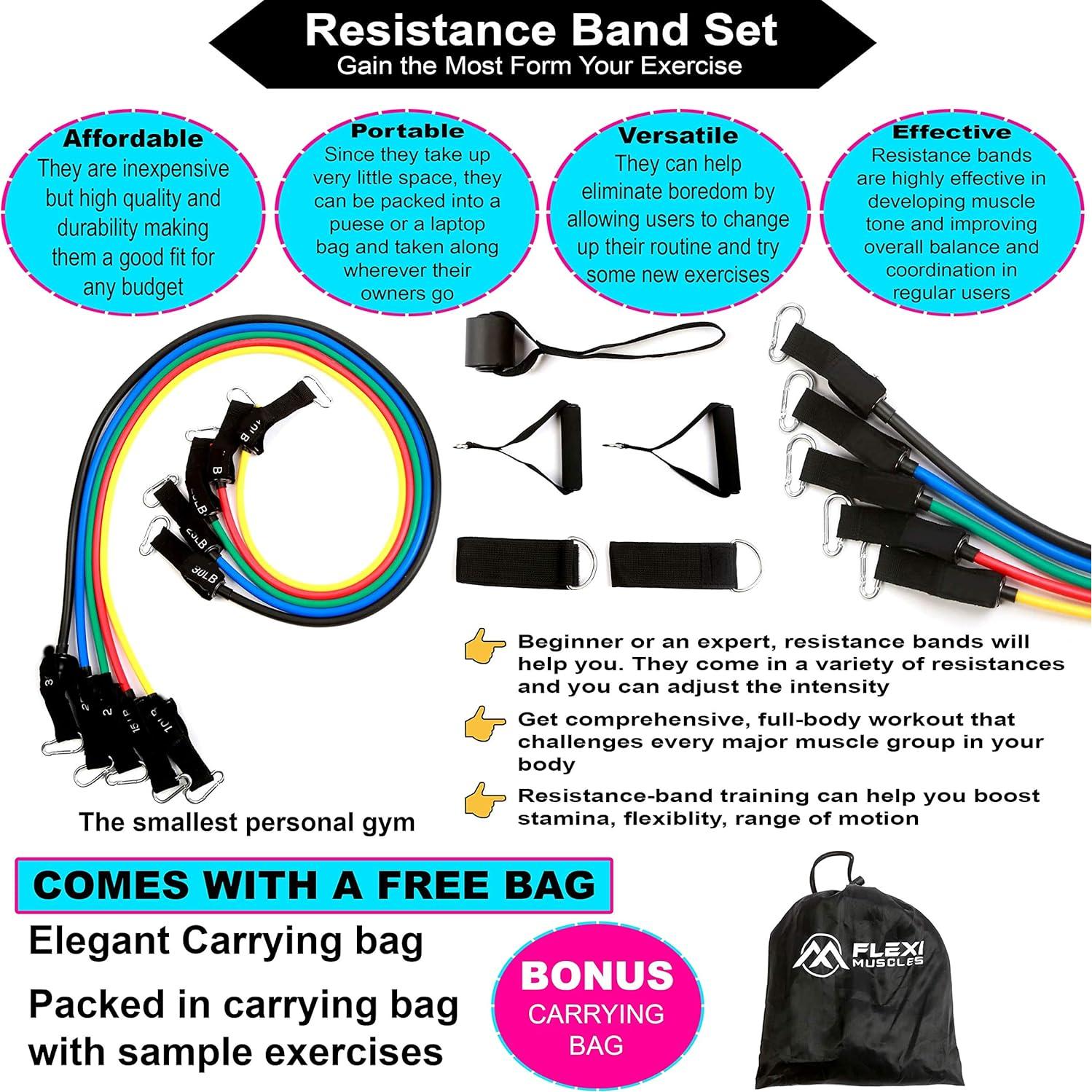 Conjunto de Bandas de Resistencia FLEXI MUSCLES 100 LBS