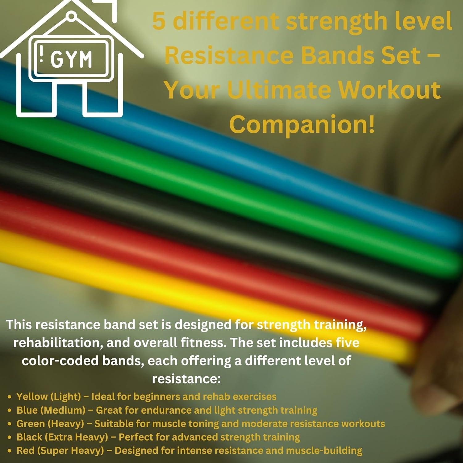 Juego de Bandas de Resistencia BALENCIVE 10 Piezas con Bolsa