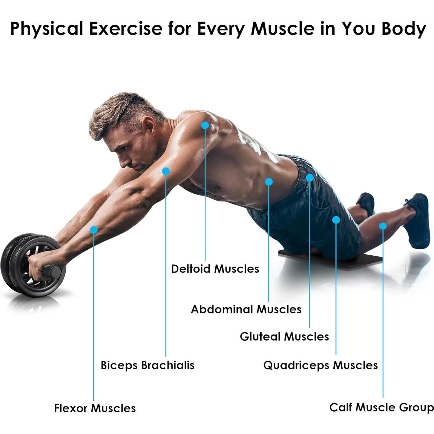 Rueda de Abdominales Arespark con Almohadilla y Mango de Espuma