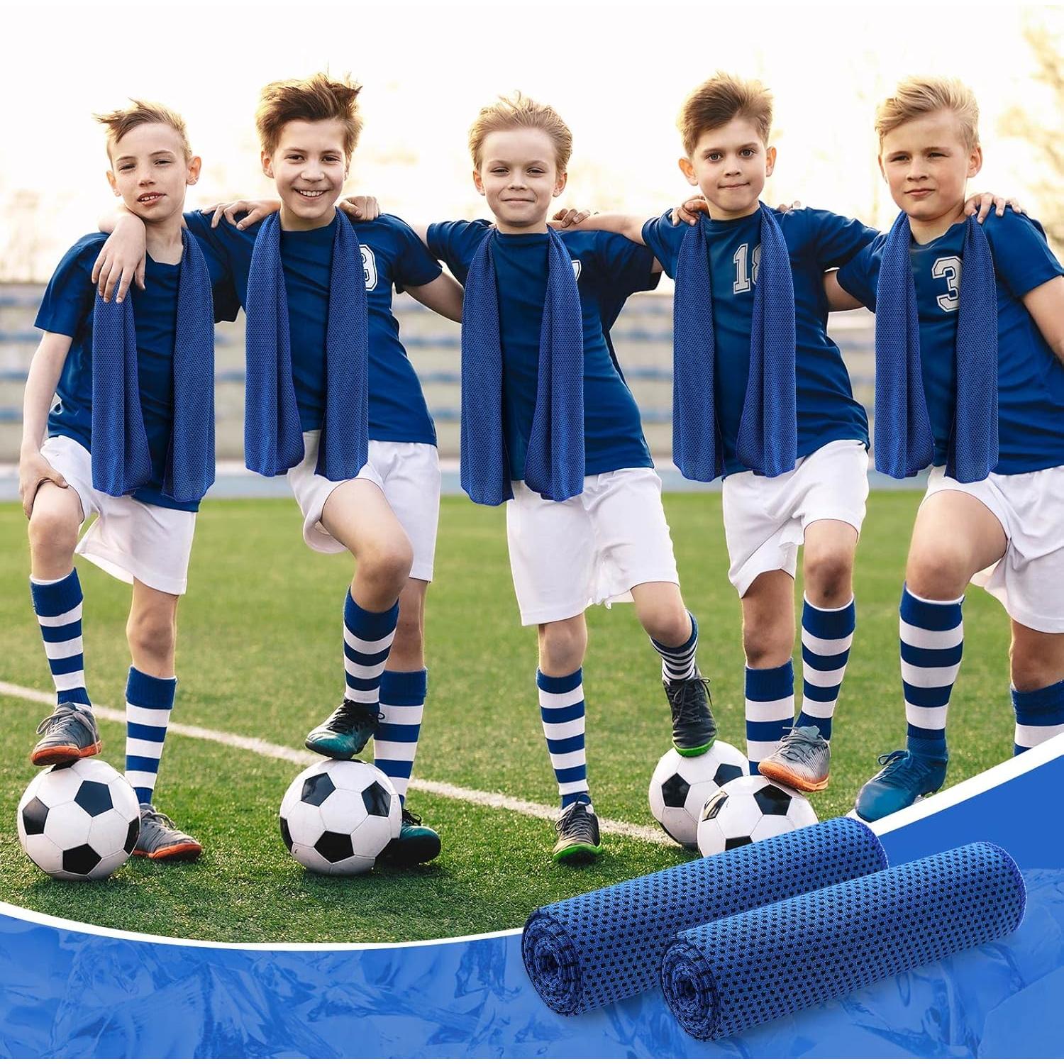 Toallas Enfriadoras Microfibra Hosuly 30 Piezas 101.6x30.5cm