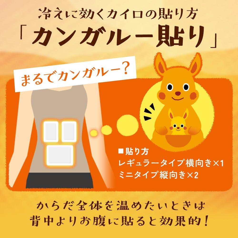 Calentadores Adhesivos Hokkairo 30PK Grande para Espalda