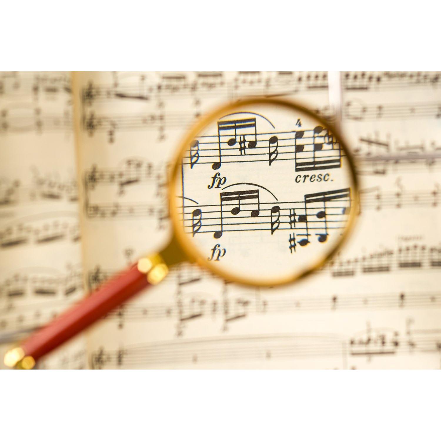 Lupa de Mano 10X BASUNE con Mango de Madera de Rosa