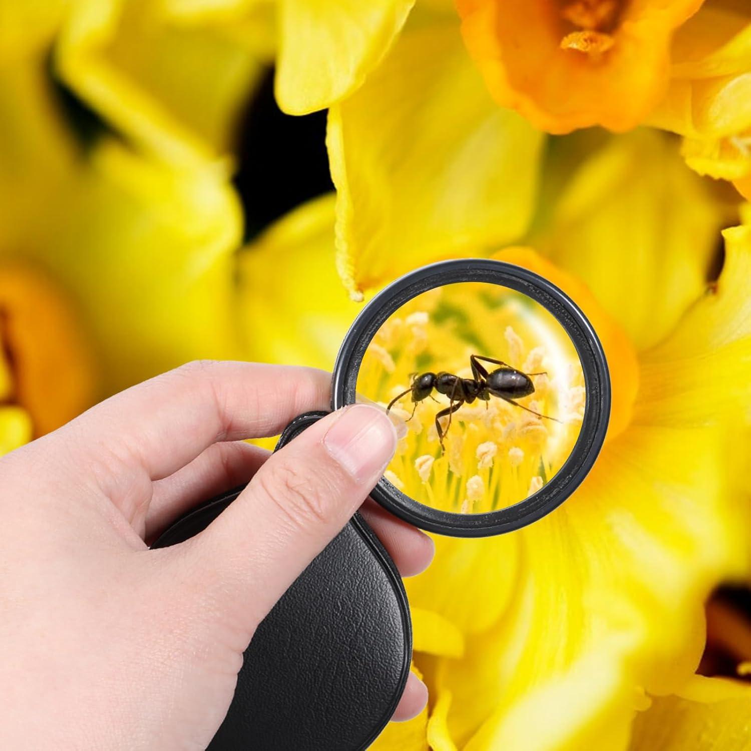 Lupa de Bolsillo 20X Psyqtsuary con Funda Protectora Negra
