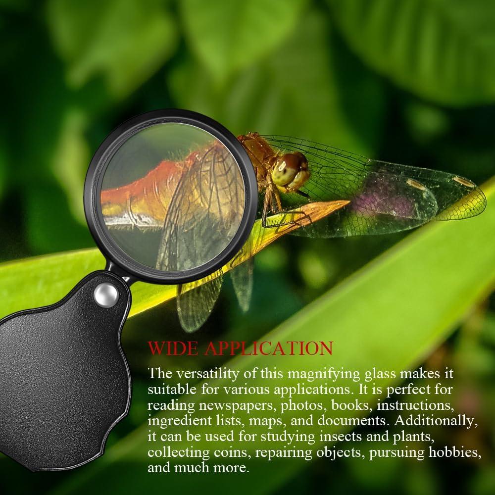 Lupa de Aumento 10X DUMEALAGR Plegable con Funda Negra