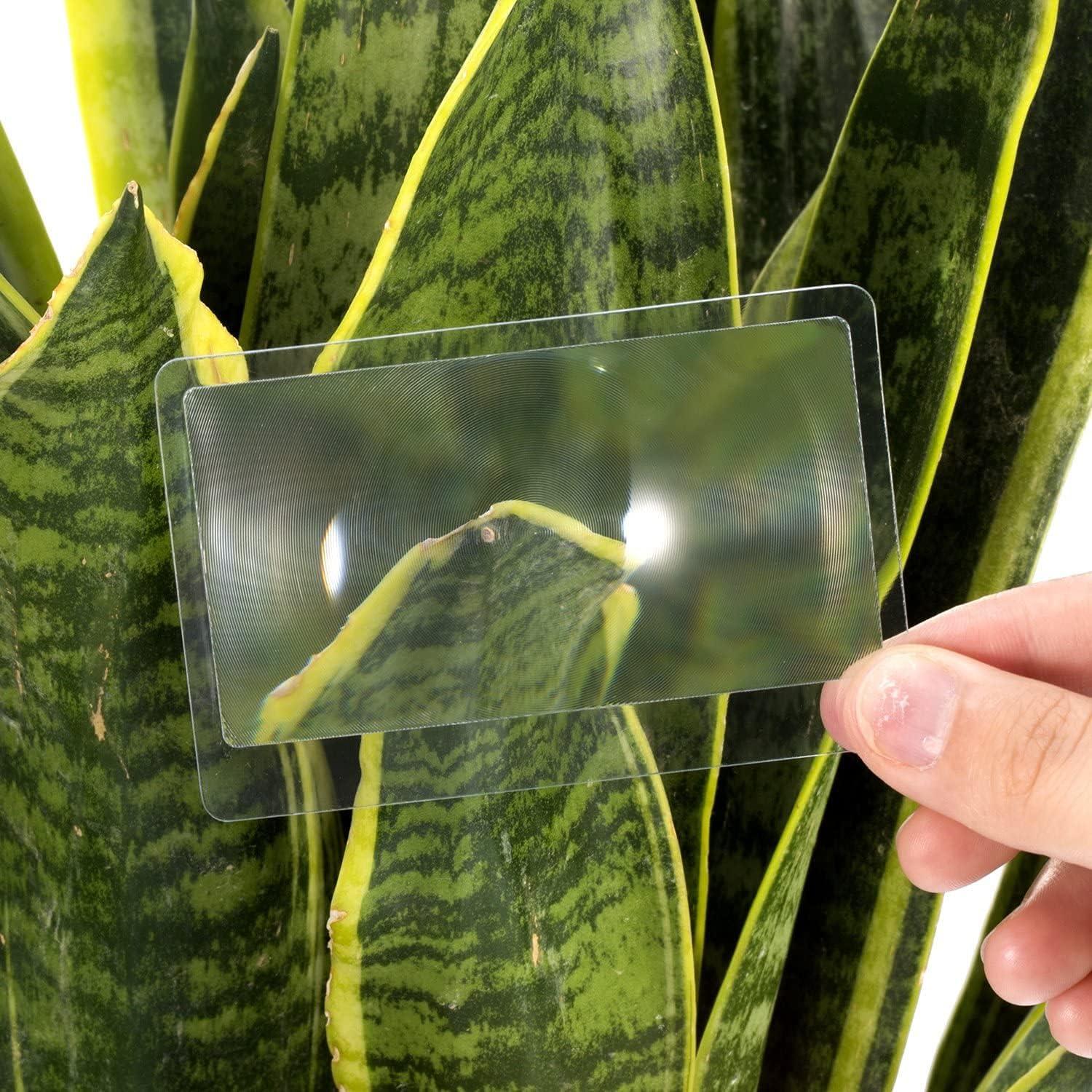 Lupa de Bolsillo Molain 5Pcs Aumento 3X PVC Transparente