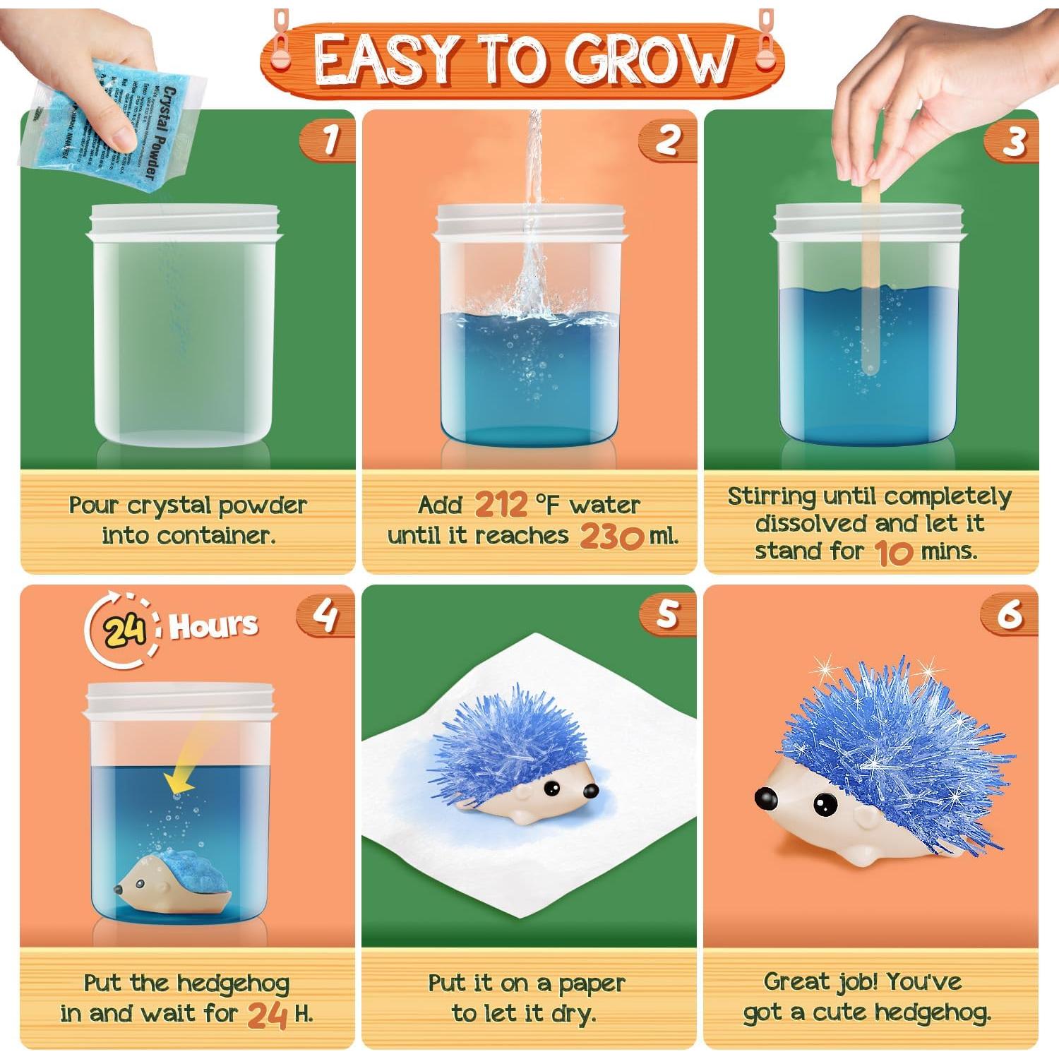 Kit de Crecimiento de Cristales XXTOYS - 4 Erizos Coloridos