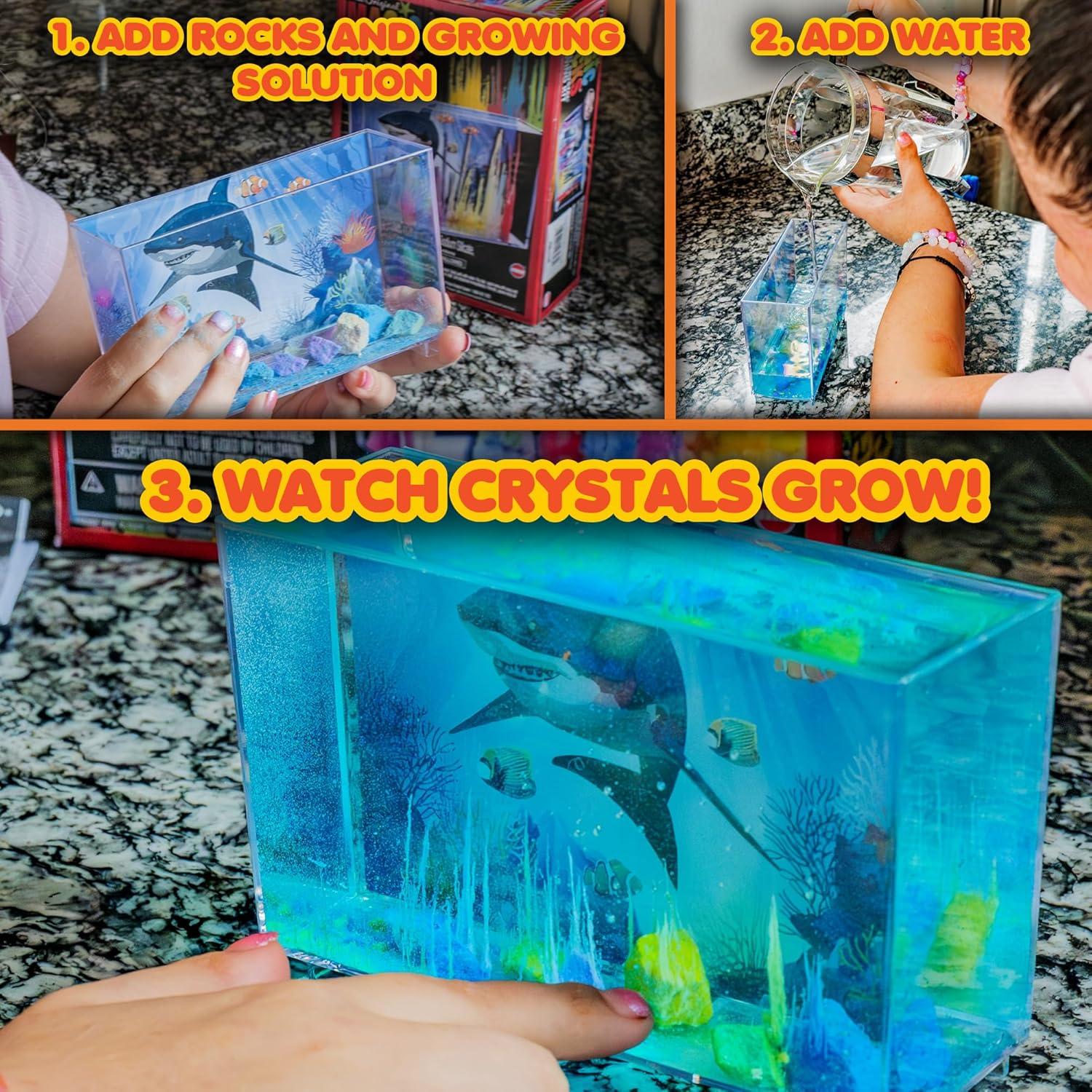 Kit de Crecimiento de Cristales Mágicos Toysmith 14.6x20.3 cm