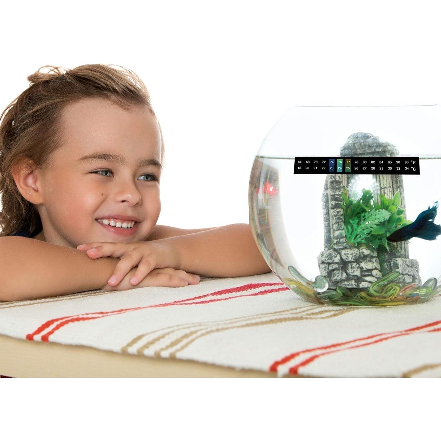 Termómetros Adhesivos Zonon 12 Pcs para Fermentación 18-34°C