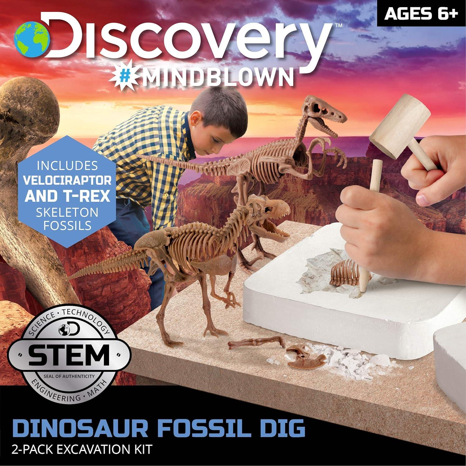 Kit de Excavación de Fósiles de Dinosaurios Discovery 15 Piezas