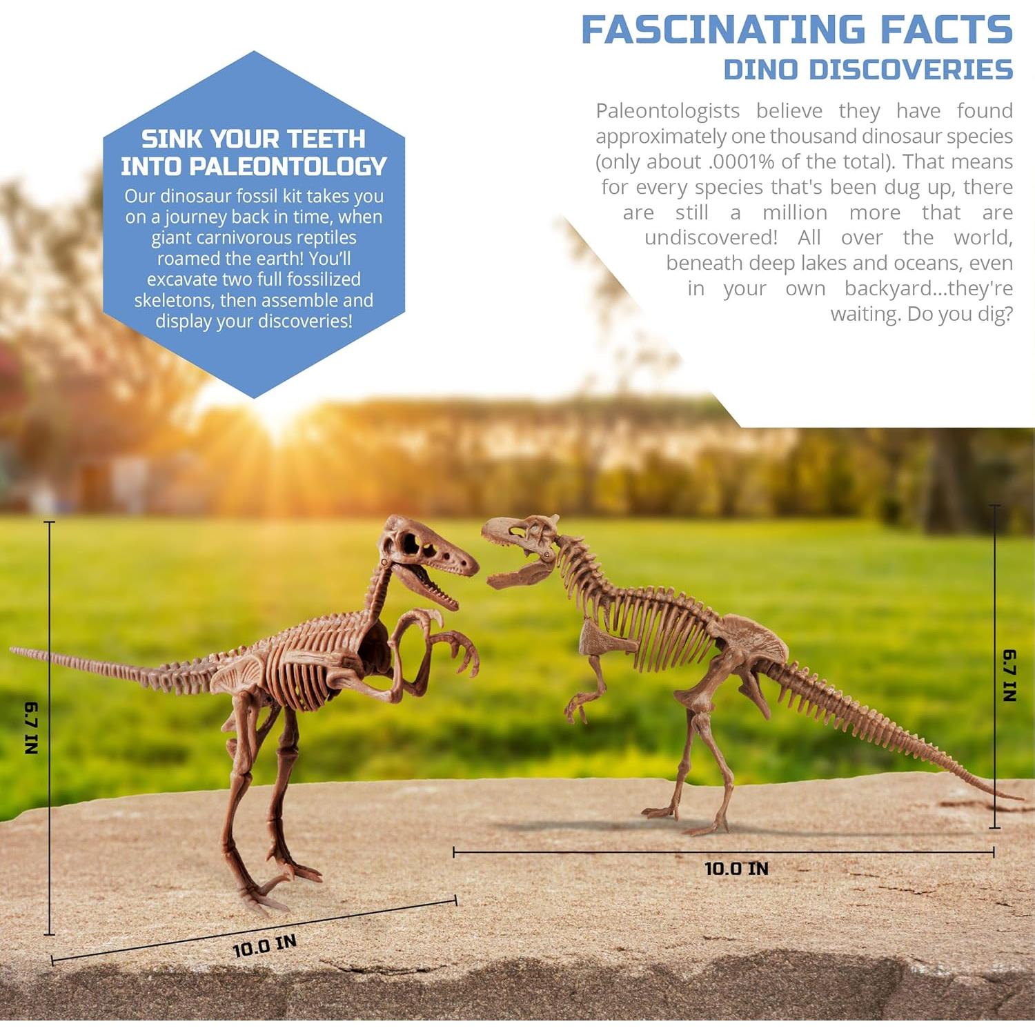 Kit de Excavación de Fósiles de Dinosaurios Discovery 15 Piezas