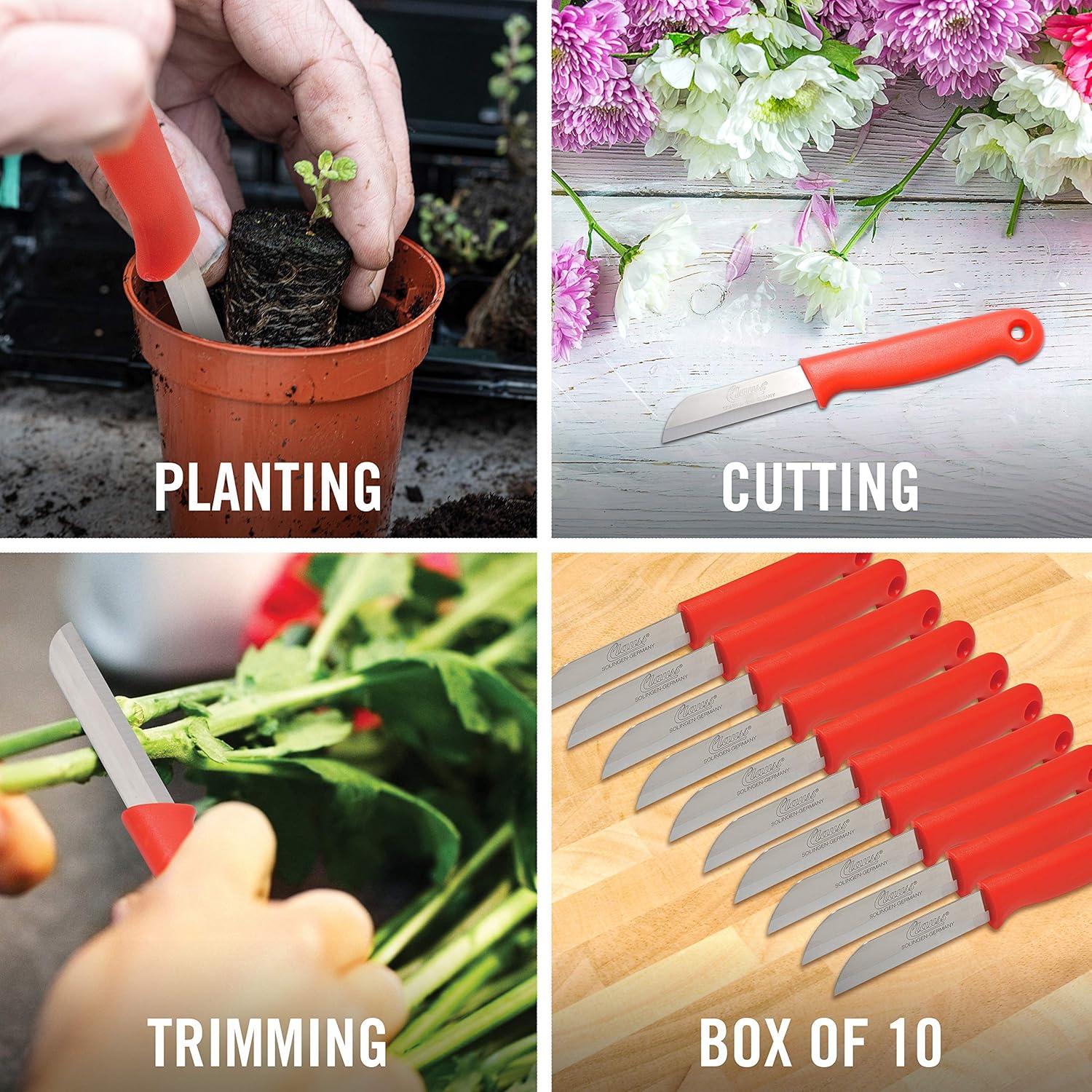 Cuchillos Florales Rectos Clauss - Caja de 10 Unidades