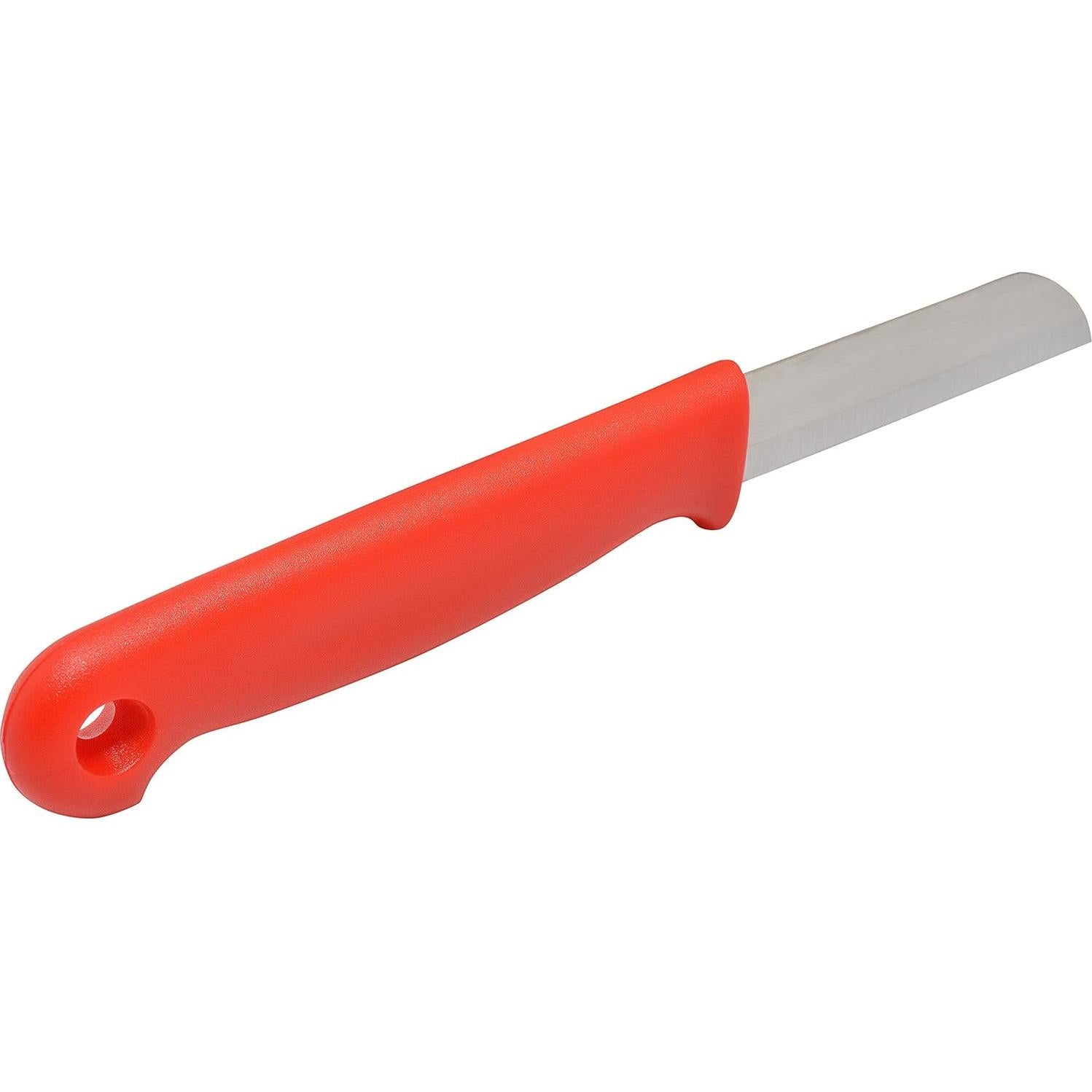 Cuchillos Florales Rectos Clauss - Caja de 10 Unidades