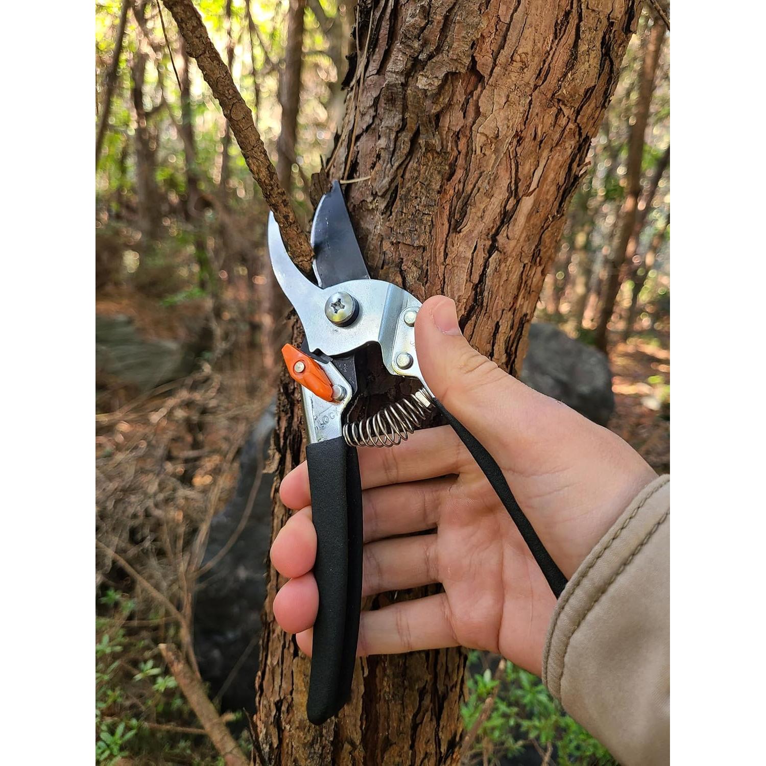 Tijeras de Poda Saboten 20mm - Acero Japonés Premium, Ergonomía