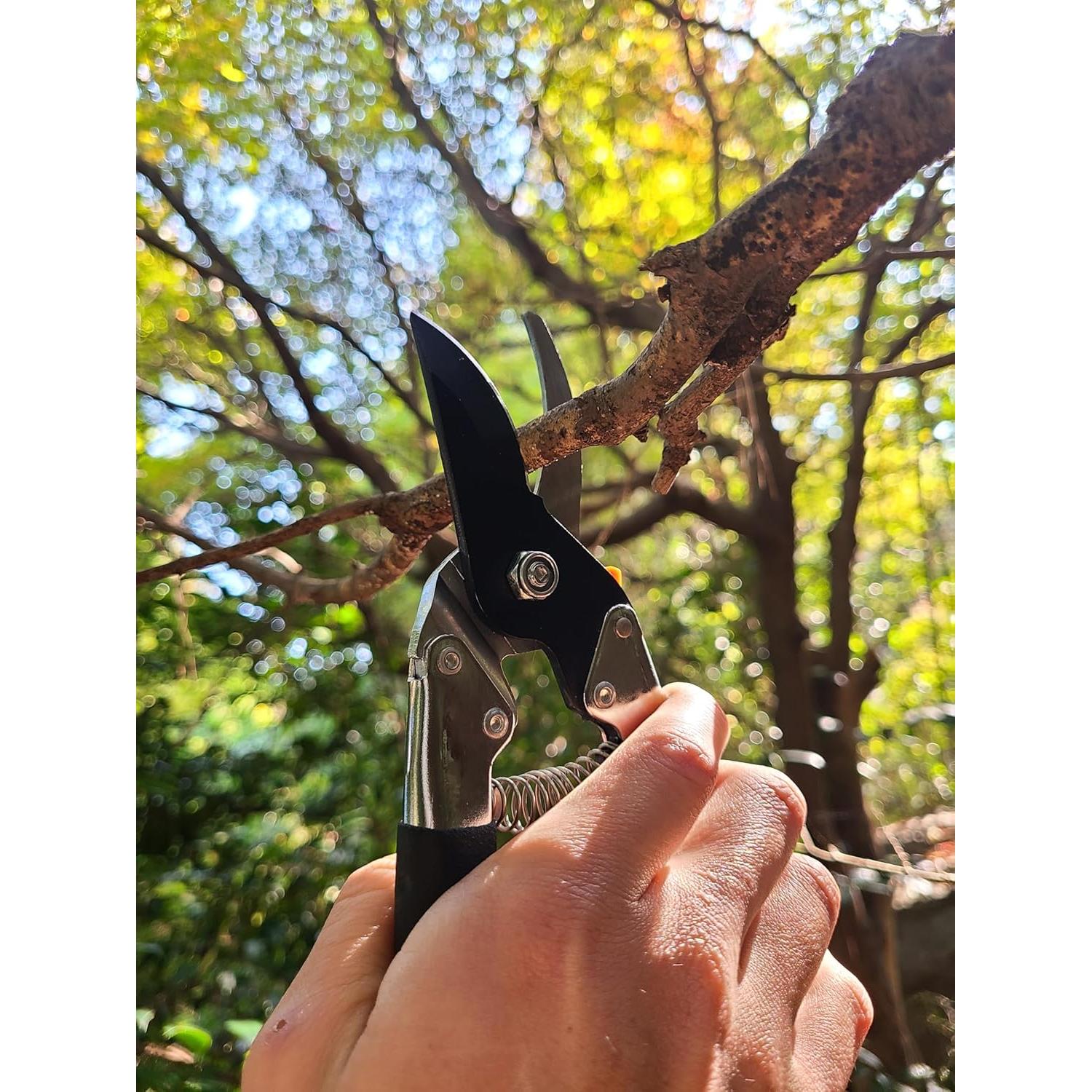 Tijeras de Poda Saboten 20mm - Acero Japonés Premium, Ergonomía