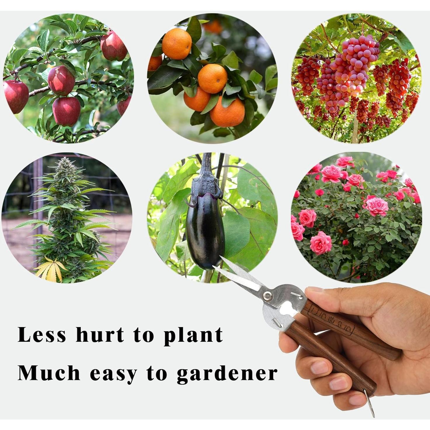 Tijeras de podar Kbenison 17.3 cm acero al carbono mango madera