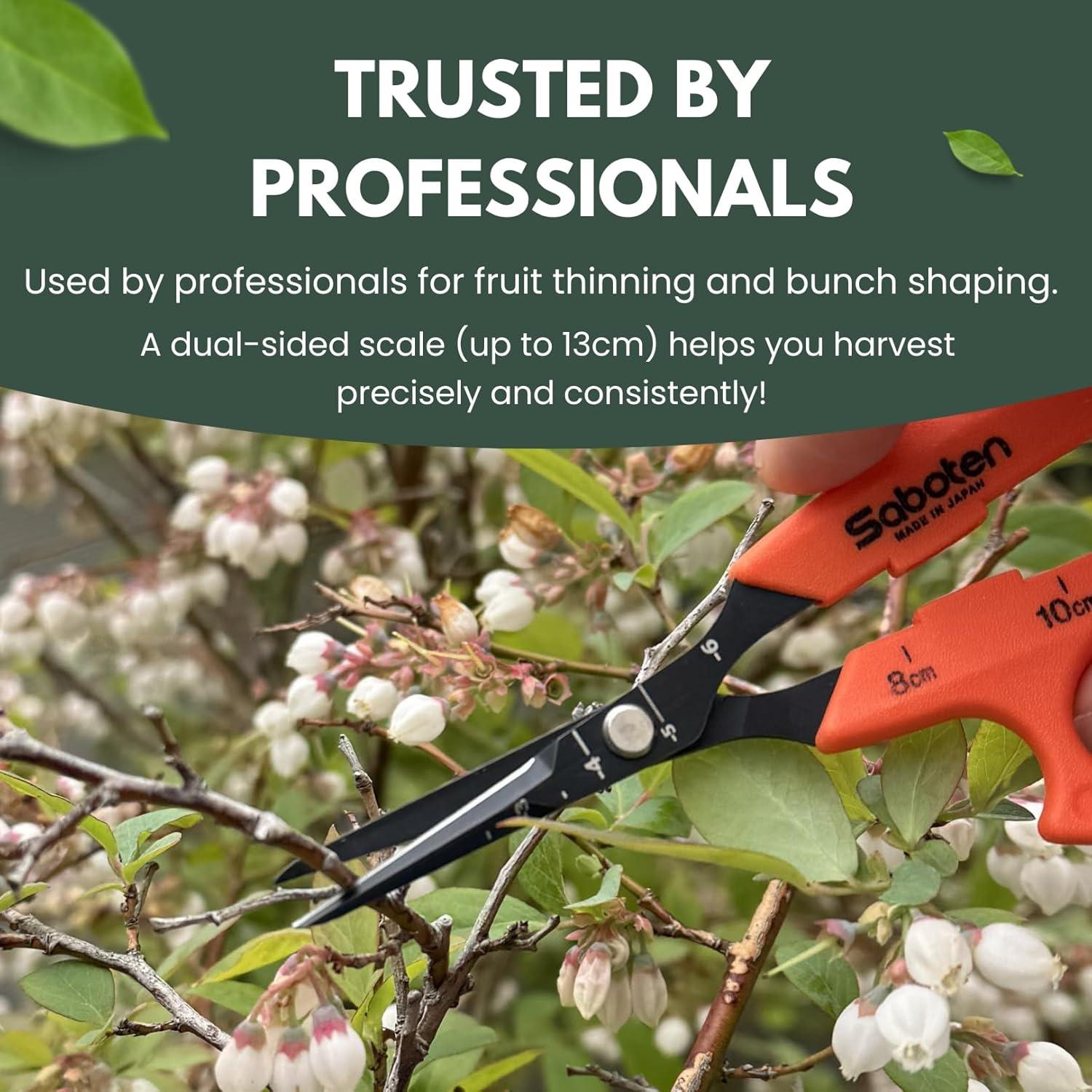 Tijeras de Cosecha Saboten PT-2 - Acero Inoxidable Japonés